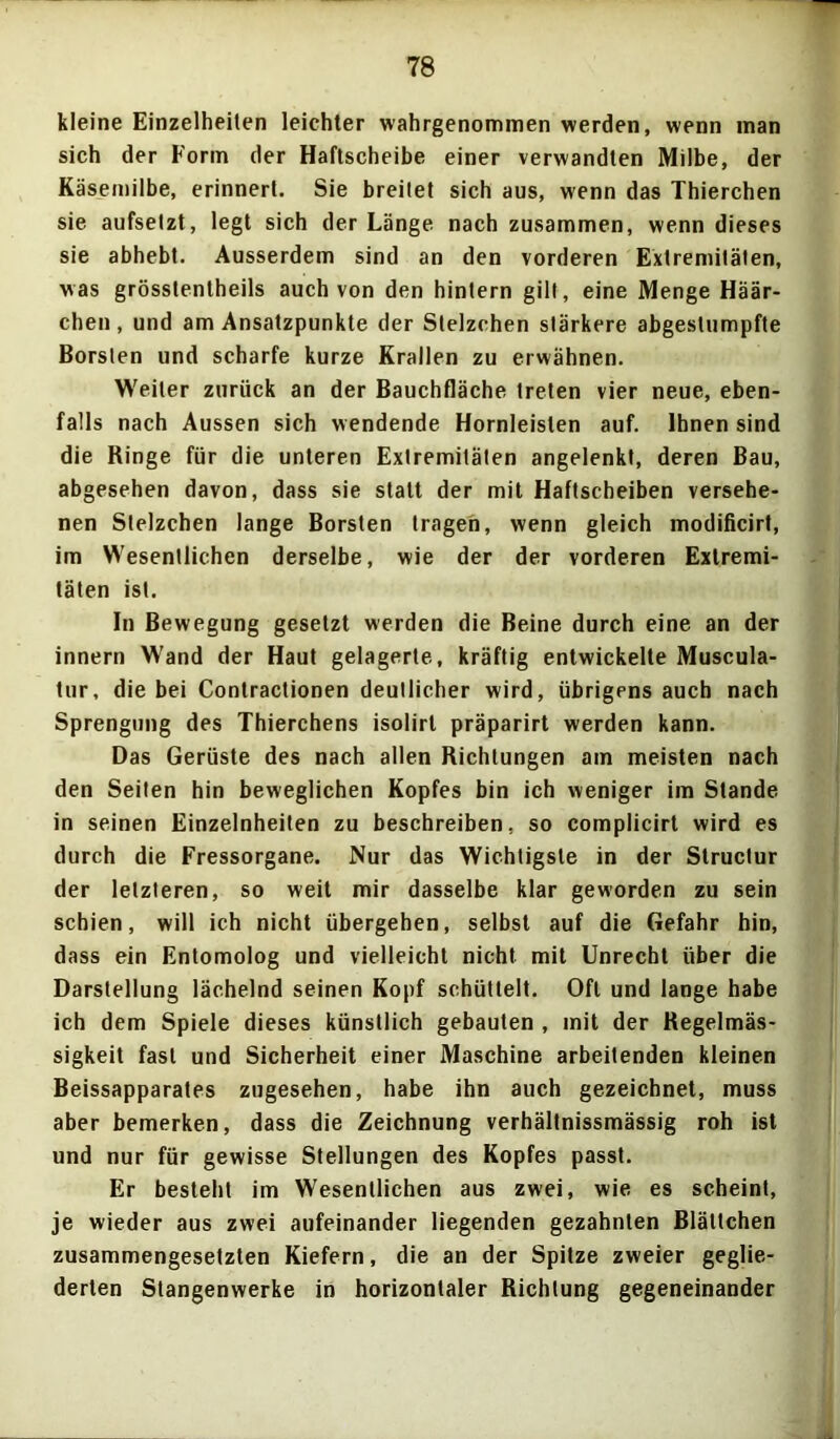 kleine Einzelheiten leichter wahrgenommen werden, wenn man sich der Form der Haftscheibe einer verwandten Milbe, der Käsemilbe, erinnert. Sie breitet sich aus, wenn das Thierchen sie aufselzt, legt sich der Länge nach zusammen, wenn dieses sie abhebt. Ausserdem sind an den vorderen Extremitäten, was grösstentheils auch von den hintern gilt, eine Menge Häär- chen, und am Ansatzpunkte der Stelzchen stärkere abgestumpfte Borsten und scharfe kurze Krallen zu erwähnen. Weiler zurück an der Bauchfläche treten vier neue, eben- falls nach Aussen sich wendende Hornleislen auf. Ihnen sind die Ringe für die unteren Extremitäten angelenkt, deren Bau, abgesehen davon, dass sie statt der mit Haftscheiben versehe- nen Stelzchen lange Borsten tragen, wenn gleich modificirf, im Wesentlichen derselbe, wie der der vorderen Extremi- täten ist. In Bewegung gesetzt werden die Beine durch eine an der innern Wand der Haut gelagerte, kräftig entwickelte Muscula- tur, die bei Contractionen deutlicher wird, übrigens auch nach Sprengung des Thierchens isolirl präparirt werden kann. Das Gerüste des nach allen Richtungen am meisten nach den Seiten hin beweglichen Kopfes bin ich weniger im Stande in seinen Einzelnheiten zu beschreiben, so complicirt wird es durch die Fressorgane. Nur das Wichtigste in der Structur der letzteren, so weit mir dasselbe klar geworden zu sein schien, will ich nicht übergehen, selbst auf die Gefahr hin, dass ein Entomolog und vielleicht nicht mit Unrecht über die Darstellung lächelnd seinen Kopf schüttelt. Oft und lange habe ich dem Spiele dieses künstlich gebauten , mit der Regelmäs- sigkeit fast und Sicherheit einer Maschine arbeitenden kleinen Beissapparates zugesehen, habe ihn auch gezeichnet, muss aber bemerken, dass die Zeichnung verhältnissmässig roh ist und nur für gewisse Stellungen des Kopfes passt. Er besteht im Wesentlichen aus zwei, wie es scheint, je wieder aus zwei aufeinander liegenden gezahnten Blättchen zusammengesetzten Kiefern, die an der Spitze zweier geglie- derten Stangenwerke in horizontaler Richtung gegeneinander
