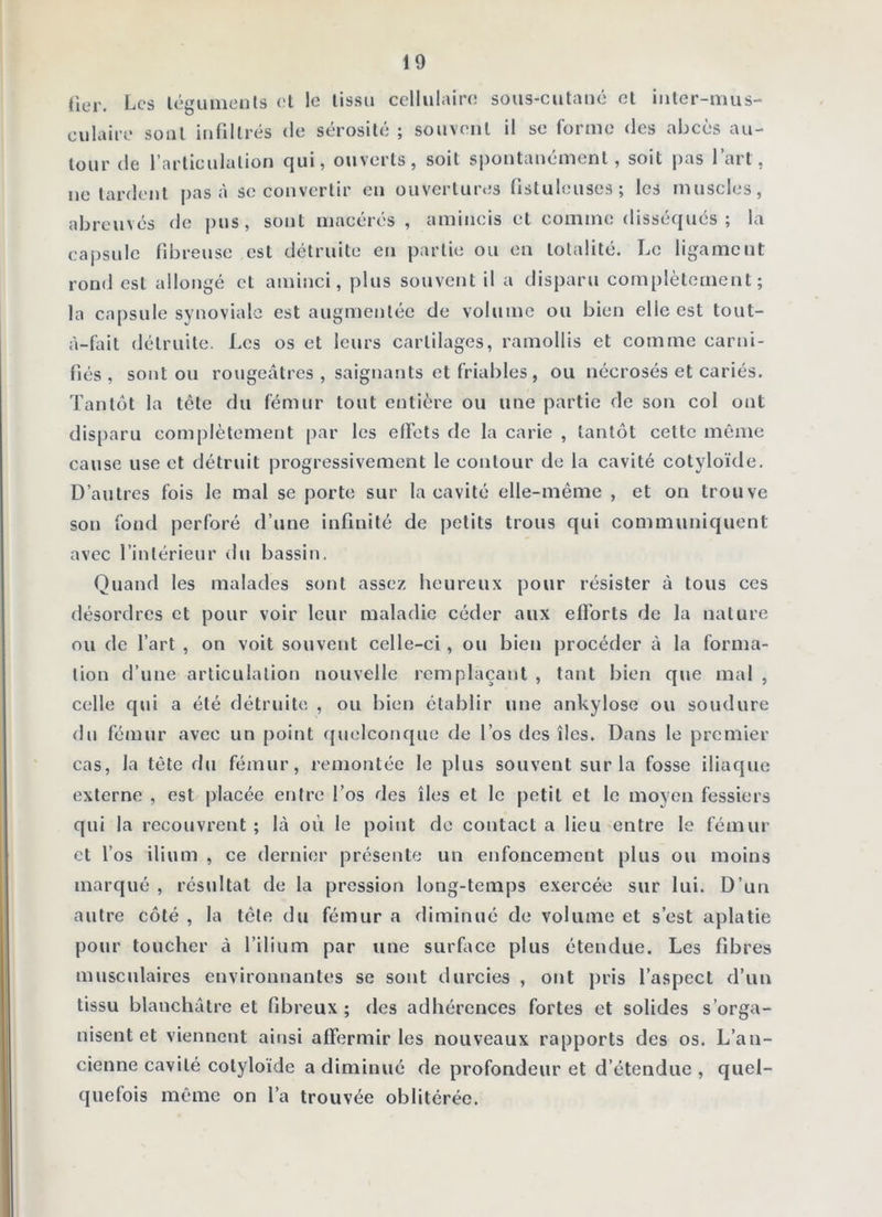 (îer. Les légiimeiils et le tissu cellulaire sous-cutauc et iiiter-imis- culairc sont infiltrés de sérosité ; souvent il se forme des abcès au- tour de l’articulation qui, ouverts, soit spontanément, soit pas l’art, ne tardent [>as à se convertir en ouvertures nstulouses ; les muscles, abreuvés de j)us , sont macérés, amincis et comme disséqués ; la capsule fibreuse est détruite en partie ou en totalité. Le ligament rond est allongé et aminci, plus souvent il a disparu complètement; la capsule synoviale est augmentée de volume ou bien elle est tout- à-fait détruite. Les os et leurs cartilages, ramollis et comme carni- fiés , sont ou rougeâtres , saignants et friables, ou nécrosés et cariés. Tantôt la tête du fémur tout entière ou une partie de son col ont disparu complètement par les etfets de la carie , tantôt cette même cause use et détruit progressivement le contour de la cavité cotyloïde. D’autres fois le mal se porte sur la cavité elle-même , et on trouve sou fond perforé d’une infinité de petits trous qui communiquent avec l’intérieur du bassin. Quand les malades sont assez heureux pour résister à tous ces désordres et pour voir leur maladie céder aux efi’orts de la nature ou de l’art , on voit souvent celle-ci, ou bien procéder à la forma- tion d’une articulation nouvelle remplaçant , tant bien que mal , celle qui a été détruite , ou bien établir une ankylosé ou soudure du fémur avec un point quelconque de l’os des îles. Dans le premier cas, la tête du fémur, remontée le plus souvent sur la fosse iliaque externe , est placée entre l’os des îles et le petit et le moyen fessiers qui la recouvrent ; là où le point do contact a lieu entre le fémur et l’os ilium , ce dernier présente un enfoncement plus ou moins marqué , résultat de la pression long-temps exercée sur lui. D’un autre côté , la tête du fémur a diminué de volume et s’est aplatie pour toucher à l’ilium par une surface plus étendue. Les fibres musculaires environnantes se sont durcies , ont pris l’aspect d’un tissu blanchâtre et fibreux ; des adhérences fortes et solides s’orga- nisent et viennent ainsi affermir les nouveaux rapports des os. L’an- cienne cavité cotyloïde a diminué de profondeur et d’étendue , quel- quefois même on l’a trouvée oblitérée.