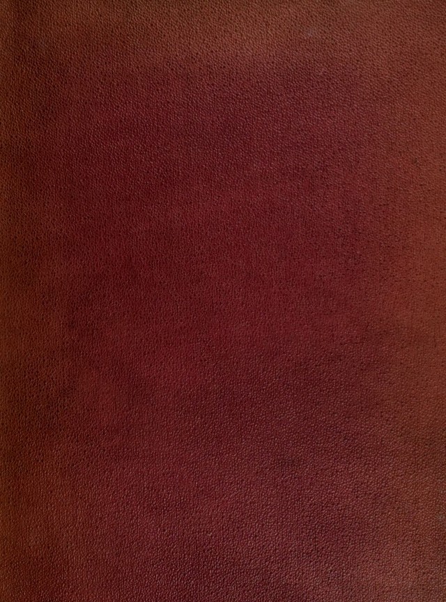 digitised image 1