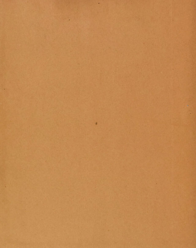 digitised image 2