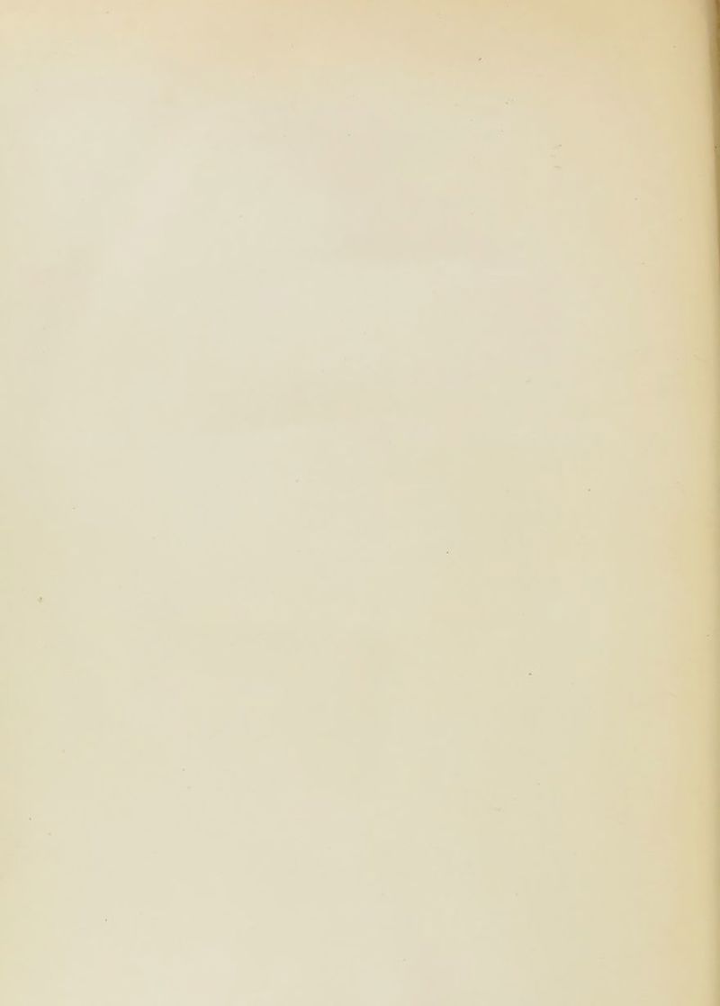 K ^ '1 ï •/* ’î^ ';•■ ijt- ’'--i »• •• 1 S r