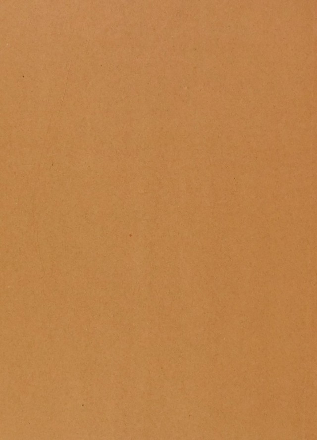 digitised image 2