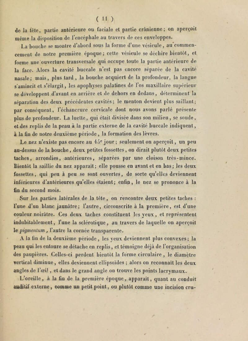 ( de la iête, partie antérieure ou faciale et partie crânienne; on aperçoit même la disposition de rencéphale au travers de ces enveloppes. La bouche se montre d’abord sous la forme d’une vésicule, au commen- cement de notre première époque; cette vésicule se déchire bientôt, et forme une'ouverture transversale qui occupe toute la partie antérieure de la face. Alors la cavité buccale n’est pas encore séparée de la cavité nasale; mais, plus tard , la bouche acquiert de la profondeur, la langue s’amincit et s’élargit, les apophyses palatines de l’os maxillaire supérieur se développent d’avant en arrière et de dehors en dedans, déterminent la séparation des deux précédentes cavités; le menton devient plus saillant; par conséquent, l’échancrure cervicale dont nous avons parlé présente plus de profondeur. La luette, qui était divisée dans son milieu , se soude, et des replis de la peau à la partie externe de la cavité buccale indiquent, à la fin de notre deuxième période , la formation des lèvres. Le nez n’existe pas encore au 4 Séjour; seulement on aperçoit, un peu au-dessus de la bouche , deux petites fossettes, on dirait plutôt deux petites taches, arrondies, antérieures, séparées par une cloison très-mince. Bientôt la saillie du nez apparaît ; elle pousse en avant et en bas ; les deux fossettes, qui peu à peu se sont ouvertes, de sorte qu’elles deviennent inférieures d’antérieures qu’elles étaient ; enfin, le nez se prononce à la fin du second mois. Sur les parties latérales de la tête, on rencontre deux petites taches : l’une d’un blanc jaunâtre; l’autre, circonscrite à la première, est d’une couleur noirâtre. Ces deux taches constituent les yeux, et représentent indubitablement, l’une la sclérotique, au travers de laquelle on aperçoit le pigmenlum, l’autre la cornée transparente. A la fin de la deuxième période , les yeux deviennent plus convexes ; la peau qui les entoure se détache en replis, et témoigne déjà de l’organisation des paupières. Celles-ci perdent bientôt la forme circulaire , le diamètre vertical diminue , elles deviennent ellipsoïdes ; alors on reconnaît les deux angles de l’œil, et dans le grand angle on trouve les points lacrymaux. L’oreille, à la fin de la première époque, apparaît, quant au conduit auditif externe , comme un petit point, ou plutôt comme une incision cru-