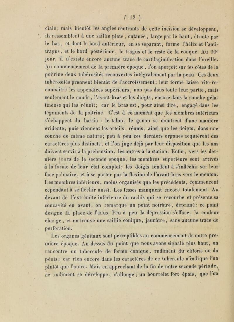 ciale; mais bientôt les angles rentrants de cette incision se développent, ils ressemblent à une saillie plate, cutanée, large par le haut, étroite par le bas, et dont le bord antérieur, en se séparant, forme l’hélix et l’anti- tragus, et le bord postérieur, le tragus et le reste de la conque. Au 60® jour, il n’existe encore aucune trace de cartilagiuification dans l’oreille. Au commencement de la première époque , l’on aperçoit sur les côtés de la poitrine deux tubérosités recouvertes intégralement par la peau. Ces deux tubérosités prennent bientôt de l’accroissement; leur forme laisse vite re- connaître les appendices supérieurs, non pas dans toute leur partie, mais seulenient le coude , l’avant-bras et les doigts , encore dans la couche géla- tineuse qui les réunit; car le bras est , pour ainsi dire , engagé dans les téguments de la poitrine. C’est à ce moment que les membres inférieurs s’échappent du bassin : le talon, le genou se montrent d’une manière évidente; puis viennent tes orteils , réunis, ainsi que les doigts, dans une couche de même nature; peu à peu ces derniers organes acquièrent des caractères plus distincts, et l’on juge déjà par leur disposition que les uns doivent §ervir à la préhension, les autres à la station. Enfin, vers les der- niers jours de la seconde époque, les membres supérieurs sont arrivés à la forme de leur état complet; les doigts tendent à s’infléchir sur leur face palmaire, et à se porter par la flexion de l’avant-bras vers le menton. Les membres inférieurs , moins organisés que les précédents, commencent cependant à se fléchir aussi. Les fesses manquent encore totalement. Au devant de l’extrémité inférieure du rachis qui se recourbe et présente sa concavité en avant, on remarque un point noirâtre, déprimé: ce point désigne la place de l’anus, l’eu à peu la dépression s’efface, la couleur change , et on trouve une saillie conique, jaunâtre, sans aucune trace de perforation. I.es organes génitaux sont perceptibles au commencement de notre pre- mière époque. Au-dessus du point que nous avons signalé plus haut, on rencontre un tubercule de forme conique, rudiment du clitoris ou du pénis; car rien encore dans les caractères de ce tubercule n’indique l’un plutôt que l’autre. Mais en approchant de la fin de notre seconde période, ce rudiment se développe, s’allonge; un bourrelet fort épais, que ion