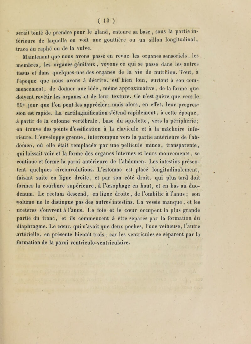 serait tenté de prendre pour le gland, entoure sa base , sous la partie in- férieure de laquelle on voit une gouttière ou un sillon longitudinal, trace du raphé ou de la vulve. Maintenant que nous avons passé en revue les organes sensoriels, les membres, les organes génitaux , voyons ce qui se passe dans les autres tissus et dans quelques-uns des organes de la vie de nutrition. Tout, à l’époque que nous avons à décrire, est'bien loin, surtout à son com- mencement, de donner une idée , même approximative, de la forme que doivent revêtir les organes et de leur texture. Ce n’est guère que vers le % bO® jour que l’on peut les apprécier; mais alors, en effet, leur progres- sion est rapide. La cartilaginiûcation s’étend rapidement, à cette époque, à partir de la colonne vertébrale, base du squelette, vers la périphérie; on trouve des points d’ossification à la clavicule et à la mâchoire infé- rieure. L’enveloppe grenue , interrompue vers la partie antérieure de l’ab- domen, où elle était remplacée par une pellicule mince, transparente, qui laissait voir et la forme des organes internes et leurs mouvements, se continue et forme la paroi antérieure de l’abdomen. Les intestins présen- tent quelques circonvolutions. L’estomac est placé longitudinalement, faisant suite en ligne droite, et par son coté droit, qui plus tard doit former la courbure supérieure, à l’œsophage en haut, et en bas au duo- dénum. Le rectum descend, en ligne droite, de l’ombilic à l’anus ; son volume ne le distingue pas des autres intestins. La vessie manque , et les uretères s’ouvrent à l’anus. Le foie et le cœur occupent la plus grande partie du tronc, et ils commencent à être séparés par la formation du diaphragme. Le cœur, qui n’avait que deux poches, l’une veineuse, l’autre artérielle, en présente bientôt trois; car les ventricules se séparent par la formation de la paroi ventriculo-ventriculaire.