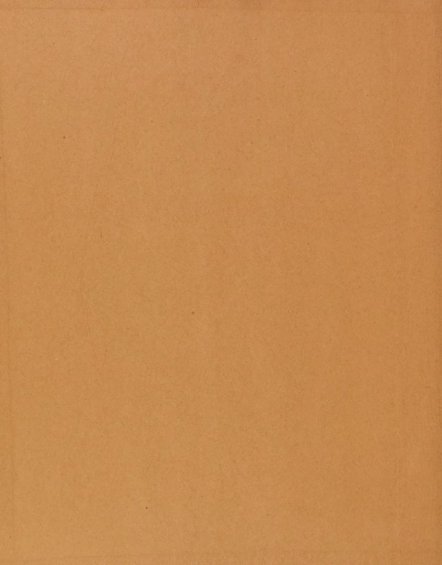 digitised image 2