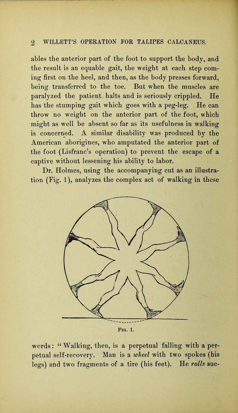 ables the anterior part of the foot to support the body, and the result is an equable gait, the weight at each step com- ing first on the heel, and then, as the body presses forward, being transferred to the toe. But when the muscles are paralyzed the patient halts and is seriously crippled. He has the stumping gait which goes with a peg-leg. He can throw no weight on the anterior part of the foot, which might as well be absent so far as its usefulness in walking is concerned. A similar disability was produced by the American aborigines, who amputated the anterior part of the foot (Lisfranc’s operation) to prevent the escape of a captive without lessening his ability to labor. Dr. Holmes, using the accompanying cut as an illustra- tion (Fig. 1), analyzes the complex act of walking in these words: “ Walking, then, is a perpetual falling with a per- petual self-recovery. Man is a wheel with two spokes (his legs) and two fragments of a tire (his feet). He rolls sue-