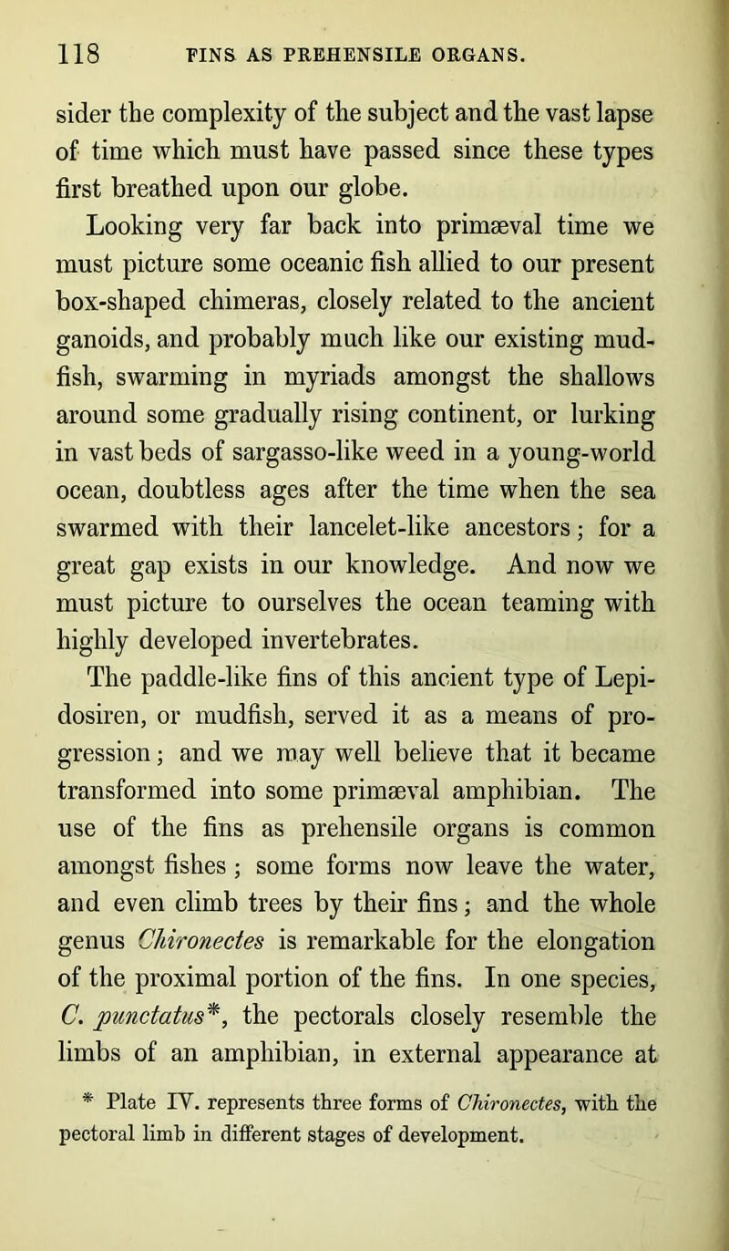 sider the complexity of the subject and the vast lapse of time which must have passed since these types first breathed upon our globe. Looking very far back into primaeval time we must picture some oceanic fish allied to our present box-shaped chimeras, closely related to the ancient ganoids, and probably much like our existing mud- fish, swarming in myriads amongst the shallows around some gradually rising continent, or lurking in vast beds of sargasso-like weed in a young-world ocean, doubtless ages after the time when the sea swarmed with their lancelet-like ancestors; for a great gap exists in our knowledge. And now we must picture to ourselves the ocean teaming with highly developed invertebrates. The paddle-like fins of this ancient type of Lepi- dosiren, or mudfish, served it as a means of pro- gression ; and we may well believe that it became transformed into some primaeval amphibian. The use of the fins as prehensile organs is common amongst fishes ; some forms now leave the water, and even climb trees by their fins; and the whole genus Clrironedes is remarkable for the elongation of the proximal portion of the fins. In one species, C. pundatus*, the pectorals closely resemble the limbs of an amphibian, in external appearance at * Plate IY. represents three forms of Chironedes, with the pectoral limh in different stages of development.