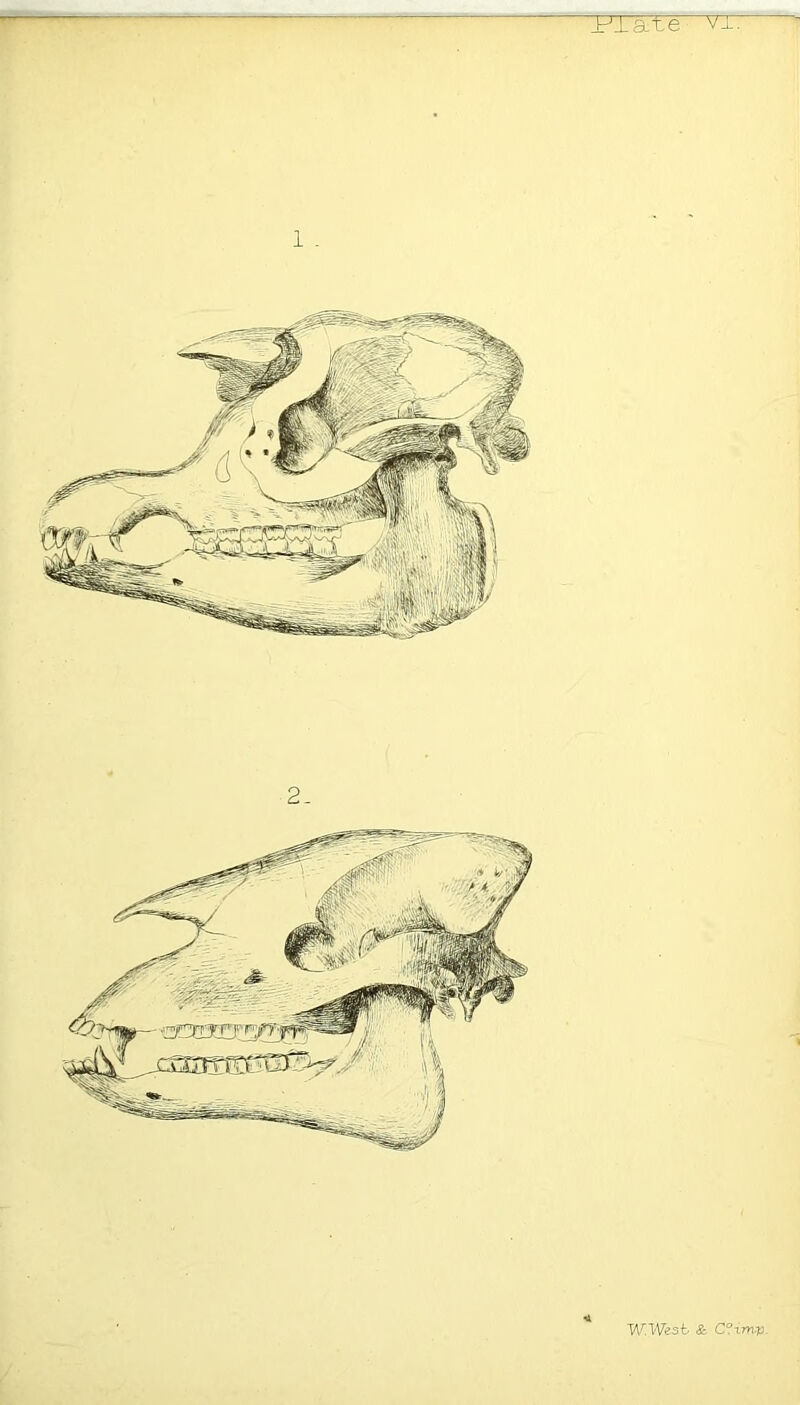 1 . 2. W^West & C°xmv.