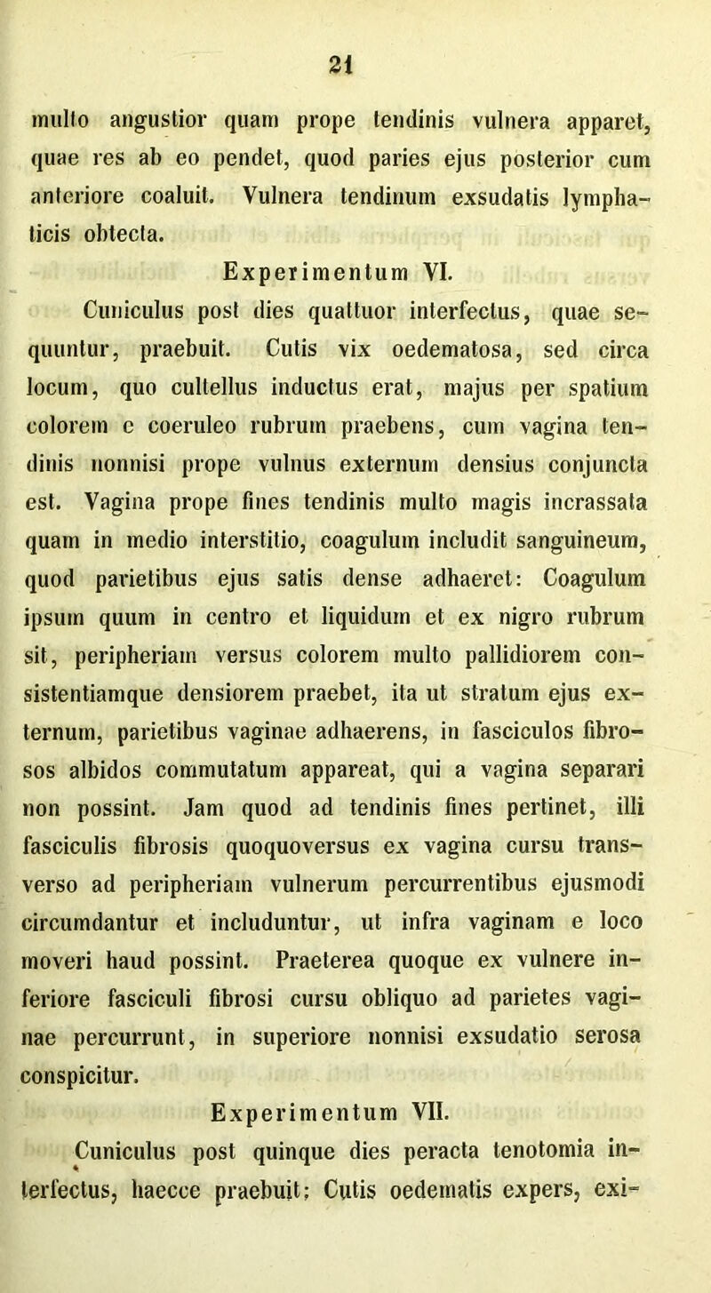 multo angustior quam prope tendinis vulnera apparet, quae res ab eo pendet, quod paries ejus posterior cum anteriore coaluit. Vulnera tendinum exsudatis lympha- ticis obtecta. Experimentum VI. Cuniculus post dies quattuor interfectus, quae se- quuntur, praebuit. Cutis vix oedematosa, sed circa locum, quo cultellus inductus erat, majus per spatium colorem e coeruleo rubrum praebens, cum vagina ten- dinis nonnisi prope vulnus externum densius conjuncta est. Vagina prope fines tendinis multo magis incrassata quam in medio interstitio, coagulum includit sanguineum, quod parietibus ejus satis dense adhaeret: Coagulum ipsum quum in centro et liquidum et ex nigro rubrum sit, peripheriain versus colorem multo pallidiorem con- sistentiamque densiorem praebet, ita ut stratum ejus ex- ternum, parietibus vaginae adhaerens, in fasciculos fibro- sos albidos commutatum appareat, qui a vagina separari non possint. Jam quod ad tendinis fines pertinet, illi fasciculis fibrosis quoquoversus ex vagina cursu trans- verso ad peripheriain vulnerum percurrentibus ejusmodi circumdantur et includuntur, ut infra vaginam e loco moveri haud possint. Praeterea quoque ex vulnere in- feriore fasciculi fibrosi cursu obliquo ad parietes vagi- nae percurrunt, in superiore nonnisi exsudatio serosa conspicitur. Experimentum VII. Cuniculus post quinque dies peracta tenotomia in- terfectus, liaecce praebuit: Cutis oedematis expers, exi-