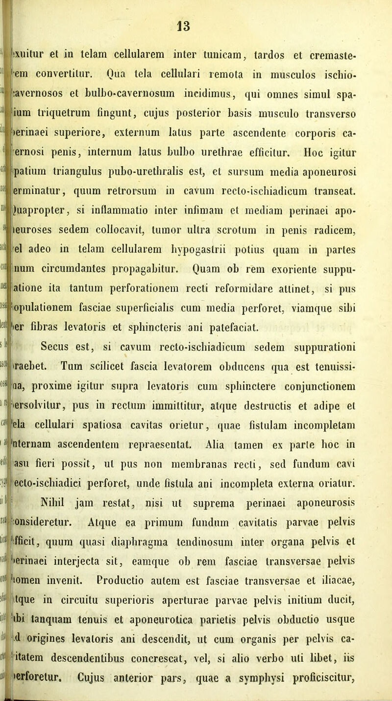 «xuitur et ia telam cellularem inter tunicam, tardos et cremaste- •em convertitur. Qua tela cellulari remota in musculos ischio- :avernosos et bulbo-cavernosum incidimus, qui omnes simul spa- ium triquetrum fingunt, cujus posterior basis musculo transverso •erinaei superiore, externum latus parte ascendente corporis ca- ernosi penis, internum latus bulbo urethrae efficitur. Hoc igitur 1 patium triangulus pubo-urethralis est, et sursum media aponeurosi * [eminatur, quum retrorsum in cavum reclo-ischiadicum transeat. B juapropter, si inflammatio inter infimam et mediam perinaei apo- : leuroses sedem collocavit, tumor ultra scrotum in penis radicem, ' el adeo in telam cellularem hypogastrii potius quam in partes ™l num circumdantes propagabitur. Quam ob rem exoriente suppu- ratione ita tantum perforationem recti reformidare attinet, si pus epulationem fasciae superficialis cum media perforet, viamque sibi lfl! «er fibras levatoris et sphincteris ani patefaciat. Secus est, si cavum recto-ischiadicum sedem suppurationi ul 'raebet. Tum scilicet fascia levatorem obducens qua est tenuissi- #ss laa, proxime igitur supra levatoris cum sphinctere conjunctionem 1B persolvitur, pus in rectum immittitur, atque destructis et adipe et ® eia cellulari spatiosa cavitas orietur, quae fistulam incompletam 111 Internam ascendentem repraesentat. Alia tamen ex parle hoc in ,i|: asu fieri possit, ut pus non membranas recti, sed fundum cavi eclo-ischiadiei perforet, unde fistula ani incompleta externa oriatur. Nihil jam restat, nisi ut suprema perinaei aponeurosis $ onsideretur. Atque ea primum fundum cavitatis parvae pelvis l,!) j fficit, quum quasi diaphragma tendinosum inter organa pelvis et ^ «erinaei interjecta sit, eamque ob rem fasciae transversae pelvis oi* lomen invenit. Productio autem est fasciae transversae et iliacae, ! tque in circuitu superioris aperturae parvae pelvis initium ducit, it|f ibi tanquam tenuis et aponeurotica parietis pelvis obductio usque '1J d origines levatoris ani descendit, ut cum organis per pelvis ca- fr itatem descendentibus concrescat, vel, si alio verbo uti libet, iis •erforetur. Cujus anterior pars, quae a symphysi proficiscitur, Mt-