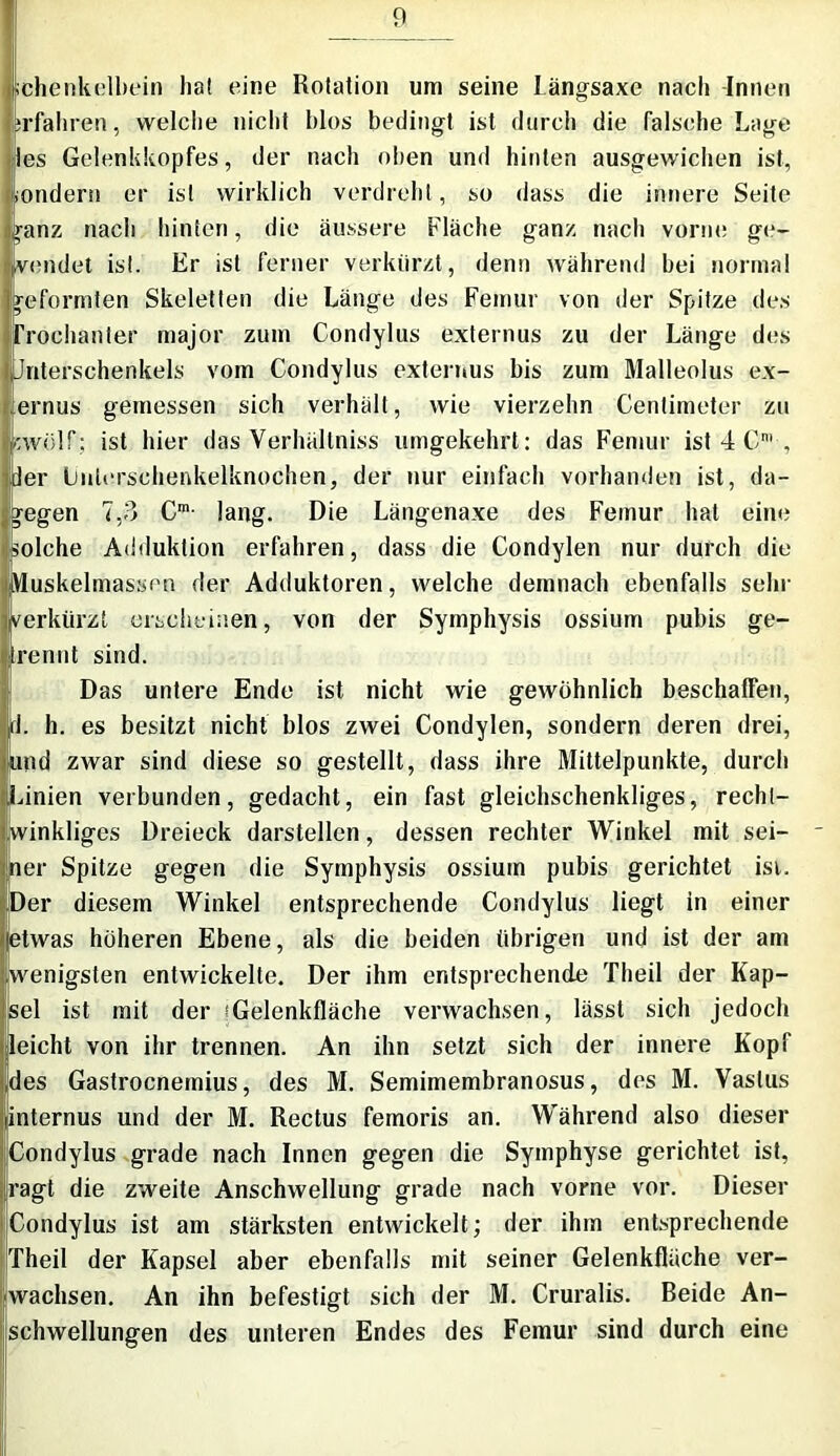 chenkelbein lia! eine Rotation um seine Längsaxe nach Innen rfahren, welche nicht blos bedingt ist durch die falsche Lage les Gelenkkopfes, der nach oben und hinten ausgewichen ist, hondern er ist wirklich verdreht, so dass die innere Seite I ranz nach hinten, die äussere Fläche ganz nach vorne ge- vendet ist. Er ist ferner verkürzt, denn während bei normal I geformten Skeletten die Länge des Femur von der Spitze des Trochanter major zum Condylus externus zu der Länge des I Jnterschenkels vom Condylus externus bis zum Malleolus ex- ernus gemessen sich verhält, wie vierzehn Centimeter zu •'wölf; ist hier das Verhältniss umgekehrt: das Femur ist 4 Cni , der Lmlerschenkelknochen, der nur einfach vorhanden ist, da- gegen 7,3 Cm- lang. Die Längenaxe des Femur hat ein«; iSolche Adduktion erfahren, dass die Condylen nur durch die jMuskelmassen der Adduktoren, welche demnach ebenfalls sehr erkürzt erscheinen, von der Symphysis ossium pubis ge- reimt sind. Das untere Ende ist nicht wie gewöhnlich beschaffen, 1. h. es besitzt nicht blos zwei Condylen, sondern deren drei, nd zwar sind diese so gestellt, dass ihre Mittelpunkte, durch Iunien verbunden, gedacht, ein fast gleichschenkliges, recht- vinkligcs Dreieck darstellen, dessen rechter Winkel mit sei- ner Spitze gegen die Symphysis ossium pubis gerichtet ist. Der diesem Winkel entsprechende Condylus liegt in einer etwas höheren Ebene, als die beiden übrigen und ist der am wenigsten entwickelte. Der ihm entsprechende Theil der Kap- sel ist mit der !Gelenkfläche verwachsen, lässt sich jedoch leicht von ihr trennen. An ihn setzt sich der innere Kopf des Gastrocneinius, des M. Semimembranosus, des M. Vaslus internus und der M. Rectus femoris an. Während also dieser Condylus grade nach Innen gegen die Symphyse gerichtet ist, ragt die zweite Anschwellung grade nach vorne vor. Dieser Condylus ist am stärksten entwickelt; der ihm entsprechende Theil der Kapsel aber ebenfalls mit seiner Gelenkfläche ver- wachsen. An ihn befestigt sich der M. Cruralis. Beide An- schwellungen des unteren Endes des Femur sind durch eine