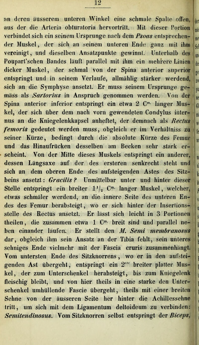 an deren äusserem unteren Winkel eine schmale Spalie offen, Lr aus der die Arteria obturatoria hervortritt. Mit dieser Portion ||rS, verbindet sich ein seinem Ursprünge nach dem Psoas entsprechen- m der Muskel, der sich an seinem unteren Ende ganz mit ihm L| vereinigt , und dieselben Ansatzpunkte gewinnt. Unterhalb des L Poupart’schen Bandes lauft parallel mit ihm ein mehrere Linien dicker Muskel, der schmal von der Spina anterior superior ^ entspringt und in seinem Verlaufe, allmählig stärker werdend, L, sich an die Symphyse ansetzt. Er muss seinem Ursprünge ge- pU mäss als Sartorius in Anspruch genommen werden. Von der 1ie Spina anterior inferior entspringt ein etwa 2 Cm- langer Mus- ^ kel, der sich über dem nach vorn gewendeten Condylus inter- [11; nus an die Kniegelenkkapsel anheftet, der demnach als Rectus m femoris gedeutet werden muss, obgleich er im Verhältniss zu fe seiner Kürze, bedingt durch die absolute Kürze des Femur L und das Hinaufrücken desselben am Becken sehr stark er- scheint. Von der Mitte dieses Muskels entspringt ein anderer, m dessen Längsaxe auf der des ersteren senkrecht steht und s; sich an dem oberen Ende des aufsteigenden Astes des Sitz- y beins ansetzt: Gracilis ? Unmittelbar unter und hinter dieser ^ Stelle entspringt ein breiter Vj2 Cm- langer Muskel, welcher, p etwas schmäler werdend, an die innere Seite des unteren En- j des des Femur berabsteigt, wo er sich hinter der Insertions- L stelle des Rectus ansetzt. Er lässt sich leicht in 3 Portionen s theilen, die zusammen etwa 1 Cm- breit sind und parallel ne- . ^ ben einander laufen. Er stellt den M. Semi mernbranosus ^ dar, obgleich ihm sein Ansatz an der Tibia fehlt, sein unteres j sehniges Ende vielmehr mit der Fascia cruris zusammenhängt, j Vom untersten Ende des Sitzknorrens , wo er in den aufstei- p genden Ast übergeht, entspringt ein 2' breiter platter Mus- j kel, der zum Unterschenkel herabsteigt, bis zum Kniegelenk fleischig bleibt, und von hier theils in eine starke den Unter- j Schenkel umhüllende Fascie übergeht, theils mit einer breiten | Sehne von der äusseren Seite her hinter die Achillessehne ( tritt, um sich mit dem Ligamentum deltoideum zu verbinden: | Semitendinosus. Vom Sitzknorren selbst entspringt der ßiceps, }