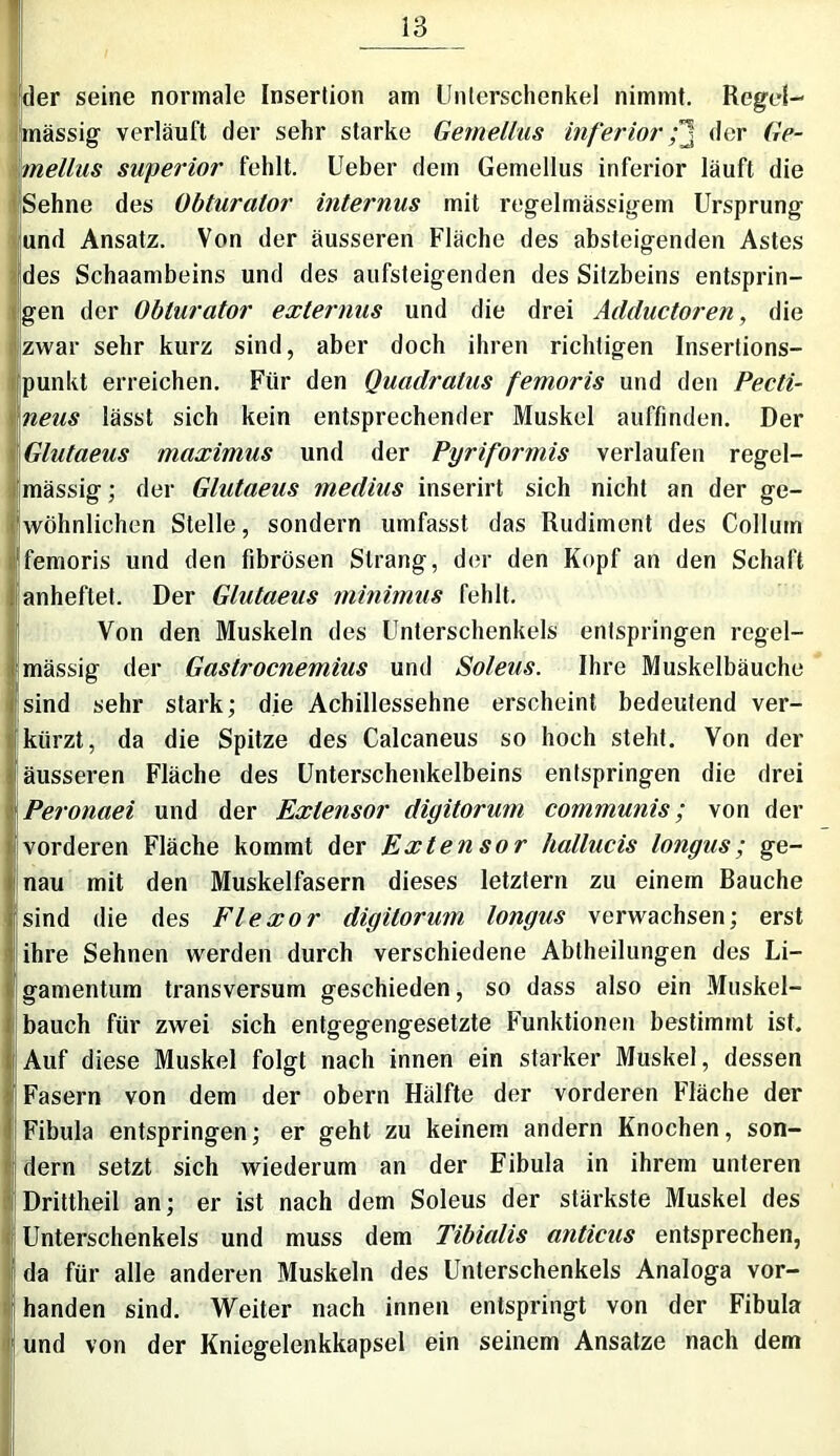 der seine normale Insertion am Unterschenkel nimmt. Regel- mässig’ verläuft der sehr starke Gemelltes inferior; 1 der Ge- mellus superior fehlt. Ueber dem Gemellus inferior läuft die Sehne des Obturator internus mit regelmässigem Ursprung und Ansatz. Von der äusseren Fläche des absteigenden Astes des Schaambeins und des aufsteigenden des Sitzbeins entsprin- gen der Obturator externus und die drei Adductoren, die •zwar sehr kurz sind, aber doch ihren richtigen Insertions- punkt erreichen. Für den Quadratus femoris und den Pecti- neus lässt sich kein entsprechender Muskel auffinden. Der i Glutaeus maximus und der Pyriformis verlaufen regel- Imässig; der Glutaeus medius inserirt sich nicht an der ge- wöhnlichen Stelle, sondern umfasst das Rudiment des Collum femoris und den fibrösen Strang, der den Kopf an den Schaft anheftet. Der Glutaeus minimus fehlt. Von den Muskeln des Unterschenkels entspringen regel- mässig der Gastrocnemius und Soleus. Ihre Muskelbäuche 'sind sehr stark; die Achillessehne erscheint bedeutend ver- kürzt, da die Spitze des Calcaneus so hoch steht. Von der äusseren Fläche des Unterschenkelbeins entspringen die drei Peronaei und der Exlensor digitorum communis; von der vorderen Fläche kommt der Extensor hallucis longus; ge- nau mit den Muskelfasern dieses letztem zu einem Bauche sind die des Flexor digitorum longus verwachsen; erst ihre Sehnen werden durch verschiedene Abtheilungen des Li- gamentum transversum geschieden, so dass also ein Muskel- bauch für zwei sich entgegengesetzte Funktionen bestimmt ist. Auf diese Muskel folgt nach innen ein starker Muskel, dessen Fasern von dem der obern Hälfte der vorderen Fläche der Fibula entspringen; er geht zu keinem andern Knochen, son- dern setzt sich wiederum an der Fibula in ihrem unteren Drittheil an; er ist nach dem Soleus der stärkste Muskel des Unterschenkels und muss dem Tibialis anticus entsprechen, da für alle anderen Muskeln des Unterschenkels Analoga vor- handen sind. Weiter nach innen entspringt von der Fibula und von der Kniegelenkkapsel ein seinem Ansätze nach dem