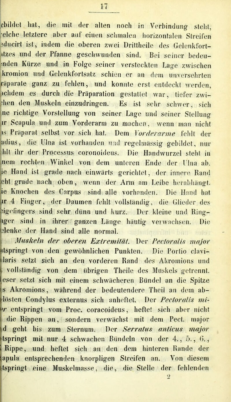 gebildet hat, die mit der alten noch in Verbindung steht, eiche letztere aber auf einen schmalen horizontalen Streifen pducirt ist, indem die oberen zwei Drittheile des Gelenkfort- atzes und der Pfanne geschwunden sind. Bei seiner bedeu- ten Kürze und in Folge seiner versteckten Lage zwischen kromion und Gelenkfortsatz schien er an dem unversehrten räparate ganz zu fehlen, und konnte erst entdeckt werden, ichdem es durch die Präparation gestattet war, tiefer zwi- •hen den Muskeln einzudringen. Es ist sehr schwer, sich ne richtige Vorstellung von seiner Lage und seiner Stellung ir Scapula und zum Vorderarm zu machen, wenn man nicht is Präparat selbst vor sich hat. Dem Vorderarme fehlt der adius, die Ulna ist vorhanden und regelmässig gebildet, nur hlt ihr der Processus coronoideus. Die Handwurzel steht in nein rechten Winkel von dem unteren Ende der Ulna ab. ie Hand ist grade nach einwärts gerichtet, der innere Rand ßht grade nach oben, wenn der Arm am Leibe herabhängt, ie Knochen des Carpus sind alle vorhanden. Die Hand hat ir 4 Finger, der Daumen fehlt vollständig, die Glieder des sigefingers sind sehr diinn und kurz. Der kleine und Ring- lger sind in ihrer ganzen Länge häutig verwachsen. Die Menke der Hand sind alle normal. Muskeln der oberen Extremität. Der Pecloralis major itspringt von den gewöhnlichen Punkten. Die Portio clavi- laris setzt sich an den vorderen Rand des Akromions und vollständig von dem übrigen Theile des Muskels getrennt. |escr setzt sich mit einem schwächeren Bündel an die Spitze s Akromions, während der bedeutendere Theil an dem ab- lösten Condylus externus sich anheftet. Der Peetoralis mi- 'r entspringt vom Proc. coracoideus, heftet sich aber nicht die Rippen an, sondern verwächst mit dem Pect, major d geht bis zum Sternum. Der Serratus anticus major jtspringt mit nur 4 schwachen Bündeln von der 4., 5., 0., Rippe, und heftet sich an den dem hinteren Rande der apula entsprechenden knorpligen Streifen an. Von diesem tspringt eine Muskelmasse, die, die Stelle der fehlenden 2