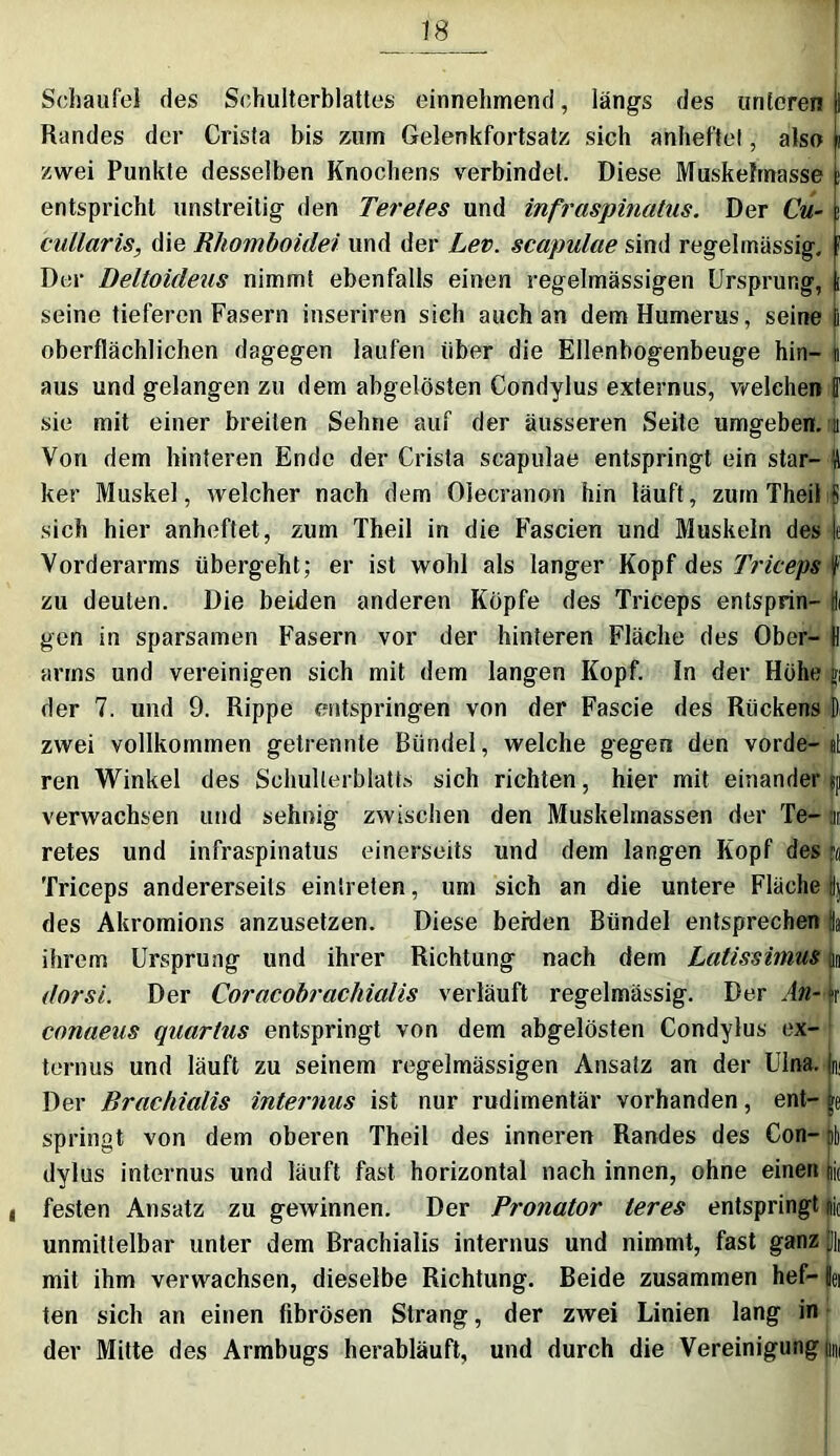 Schaufel des Schulterblattes einnehmend, längs des unteren!] Randes der Crista bis zum Gelenkfortsatz sich anheftel, also p zwei Punkte desselben Knochens verbindet. Diese Muskefmasse p entspricht unstreitig den Teretes und infraspinatus. Der Cu- |> cullaris, die Rhomboidei und der Lev. scapulae sind regelmässig. |f Der Deltoideus nimmt ebenfalls einen regelmässigen Ursprung, \ seine tieferen Fasern inseriren sich auch an dem Humerus, seine |i oberflächlichen dagegen laufen über die Ellenbogenbeuge hin- n aus und gelangen zu dem abgelösten Condylus externus, welchen ff sie mit einer breiten Sehne auf der äusseren Seite umgeben, ti Von dem hinteren Ende der Crista scapulae entspringt ein star- Ü ker Muskel, welcher nach dem Olecranon hin läuft, zum Theii 8 sich hier anheftet, zum Theii in die Fascien und Muskeln des je Vorderarms übergeht; er ist wohl als langer Kopf des Triceps f zu deuten. Die beiden anderen Köpfe des Triceps entsprin- tli gen in sparsamen Fasern vor der hinteren Fläche des Ober- || arins und vereinigen sich mit dem langen Kopf. In der Höhe jp der 7. und 9. Rippe entspringen von der Fascie des Rückens D zwei vollkommen getrennte Bündel, welche gegen den vorde- st ren Winkel des Schulterblatts sich richten, hier mit einander pp verwachsen und sehnig zwischen den Muskelmassen der Te- in retes und infraspinatus einerseits und dem langen Kopf des p« Triceps andererseits einireten, um sich an die untere Fläche ij des Akromions anzusetzen. Diese beiden Bündel entsprechen ffa ihrem Ursprung und ihrer Richtung nach dem Latissimus m dorsi. Der Coracobrachialis verläuft regelmässig. Der An- r conaeus qaar/us entspringt von dem abgelösten Condylus ex- ternus und läuft zu seinem regelmässigen Ansatz an der Ulna, m Der Brachialis internus ist nur rudimentär vorhanden, ent- jpe springt von dem oberen Theii des inneren Randes des Con- j|) dylus internus und läuft fast horizontal nach innen, ohne einen uff i festen Ansatz zu geAvinnen. Der Pronator teres entspringt i® unmittelbar unter dem Brachialis internus und nimmt, fast ganz |]|| mit ihm verwachsen, dieselbe Richtung. Beide zusammen hef- Bei ten sich an einen fibrösen Strang, der zwei Linien lang in der Mitte des Armbugs herabläuft, und durch die Vereinigung um