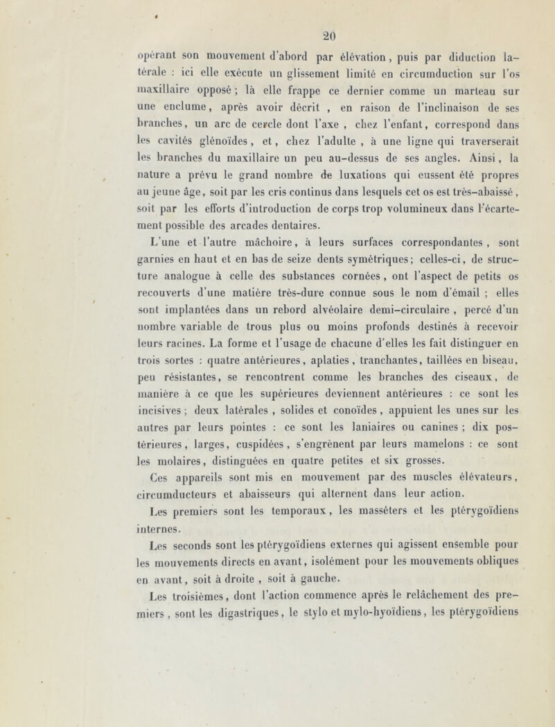 ê 20 opérant son mouvement (l’abord par élévation, puis par diduclion la- térale : ici elle exécute un glissement limité en circumduction sur l’os maxillaire opposé ; là elle frappe ce dernier comme un marteau sur une enclume, après avoir décrit , en raison de l’inclinaison de ses branches, un arc de cercle dont l’axe , chez l’enfant, correspond dans les cavités glénoïdes , et, chez l’adulte , à une ligne qui traverserait les branches du maxillaire un peu au-dessus de ses angles. Ainsi, la nature a prévu le grand nombre de luxatious qui eussent été propres au jeune âge, soit par les cris continus dans lesquels cet os est très-abaissé , soit par les efforts d’iutroduclion de corps trop volumineux dans l’écarte- ment possible des arcades dentaires. L’une et l’autre mâchoire, à leurs surfaces correspondantes , sont garnies en haut et en bas de seize dents symétriques; celles-ci, de struc- ture analogue à celle des substances cornées , ont l’aspect de petits os recouverts d’une matière très-dure connue sous le nom d’émail ; elles sont implantées dans un rebord alvéolaire demi-circulaire , percé d’un nombre variable de trous plus ou moins profonds destinés à recevoir leurs racines. La forme et l’usage de chacune d’elles les fait distinguer eu trois sortes : quatre antérieures, aplaties, tranchantes, taillées en hiseau, peu résistantes, se rencontrent comme les branches des ciseaux, de manière à ce que les supérieures deviennent antérieures : ce sont les incisives ; deux latérales , solides et conoïdes, appuient les unes sur les autres par leurs pointes : ce sont les lauiaires ou canines ; dix pos- térieures, larges, cuspidées , s’engrènent par leurs mamelons : ce sont les molaires, distinguées en quatre petites et six grosses. Ces appareils sont mis en mouvement par des muscles élévateurs, circumducteurs et abaisseurs qui alternent dans leur action. Les premiers sont les temporaux, les masséters et les ptérygoïdiens internes. Les seconds sont les ptérygoïdiens externes qui agissent ensemble poul- ies mouvements directs en avant, isolément pour les mouvements obliques en avant, soit adroite , soit à gauche. Les troisièmes, dont l’action commence après le relâchement des pre- miers , sont les digastriques, le stylo et mylo-hyoïdiens, les ptérygoïdiens