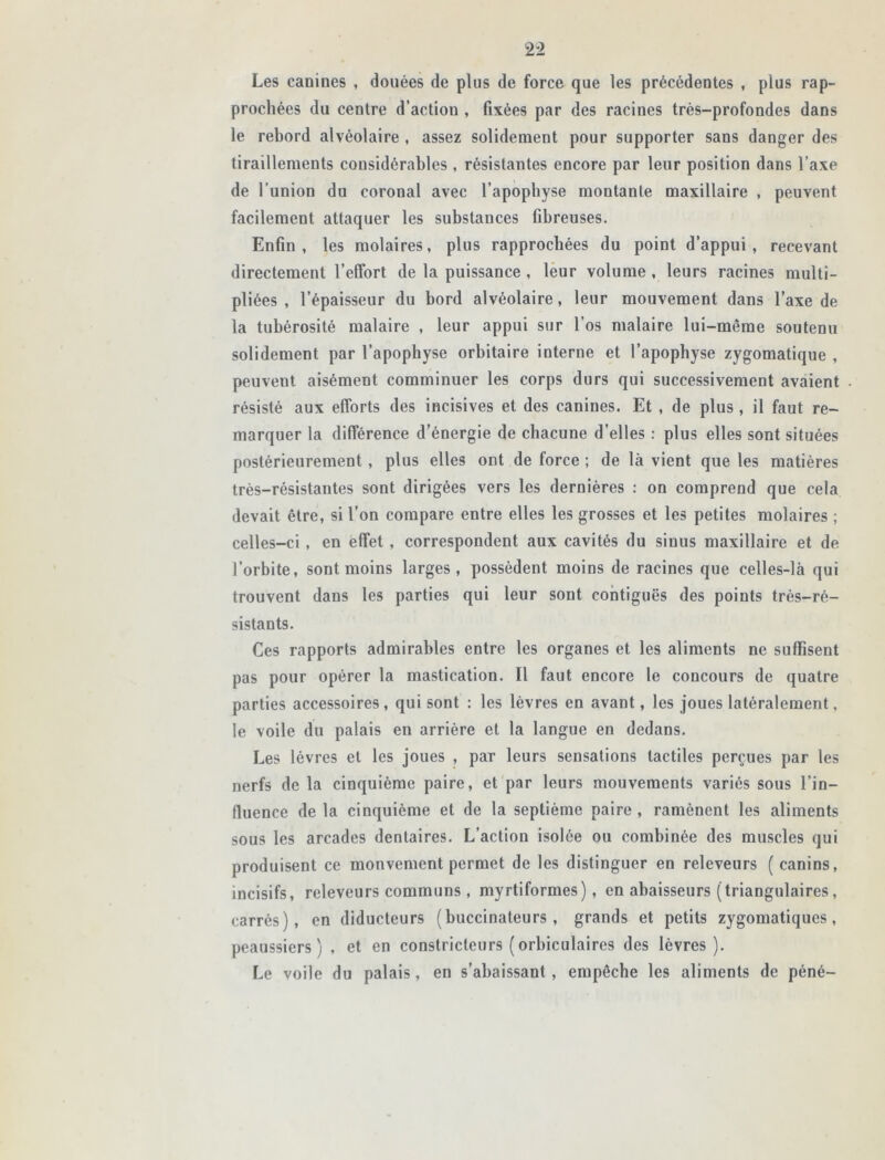 Les canines , douées de plus de force que les précédentes , plus rap- prochées du centre d’action , fixées par des racines très-profondes dans le rebord alvéolaire , assez solidement pour supporter sans danger des tiraillements considérables , résistantes encore par leur position dans l’axe de l’union du coronal avec l'apophyse montante maxillaire , peuvent facilement attaquer les substances fibreuses. Enfin, les molaires, plus rapprochées du point d’appui, recevant directement l’effort de la puissance, leur volume , leurs racines multi- pliées , l’épaisseur du bord alvéolaire, leur mouvement dans l’axe de la tubérosité malaire , leur appui sur l’os malaire lui-même soutenu solidement par l’apophyse orbitaire interne et l’apophyse zygomatique , peuvent aisément comminuer les corps durs qui successivement avaient résisté aux efforts des incisives et des canines. Et , de plus , il faut re- marquer la différence d’énergie de chacune d’elles : plus elles sont situées postérieurement , plus elles ont de force ; de là vient que les matières très-résistantes sont dirigées vers les dernières : on comprend que cela devait être, si l’on compare entre elles les grosses et les petites molaires ; celles-ci , en effet , correspondent aux cavités du sinus maxillaire et de l’orbite, sont moins larges, possèdent moins de racines que celles-là qui trouvent dans les parties qui leur sont contiguës des points très-ré- sistants. Ces rapports admirables entre les organes et les aliments ne suffisent pas pour opérer la mastication. Il faut encore le concours de quatre parties accessoires, qui sont : les lèvres en avant, les joues latéralement, le voile du palais en arrière et la langue en dedans. Les lèvres et les joues , par leurs sensations tactiles perçues par les nerfs de la cinquième paire, et par leurs mouvements variés sous l’in- fluence delà cinquième et de la septième paire, ramènent les aliments sous les arcades dentaires. L’action isolée ou combinée des muscles qui produisent ce mouvement permet de les distinguer en releveurs ( canins, incisifs, releveurs communs , myrtiformes), en abaisseurs (triangulaires, carrés), en diducteurs (buccinateurs , grands et petits zygomatiques, peaussiers) , et en constricteurs ( orbiculaires des lèvres). Le voile du palais, en s’abaissant , empêche les aliments de péné-