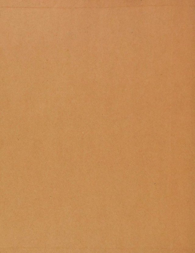 digitised image 2