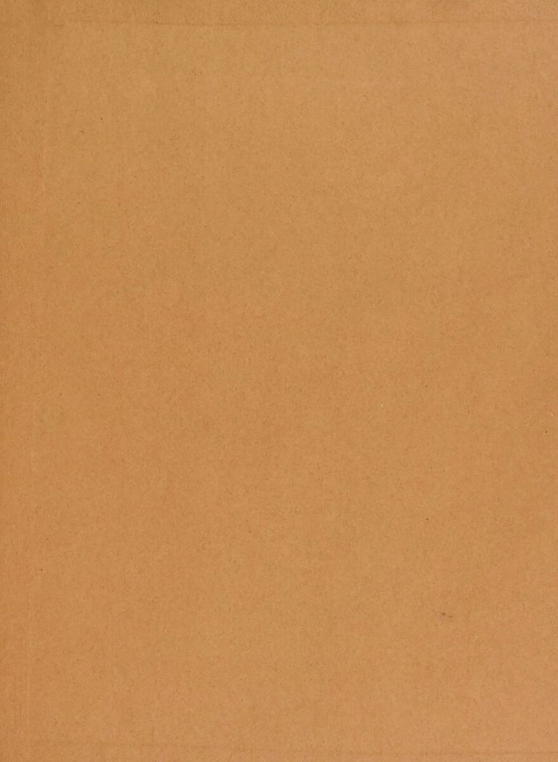 . . « «* t . •5» • . ./ !'■ ■ ' ■* •* .  fi ,M - 1