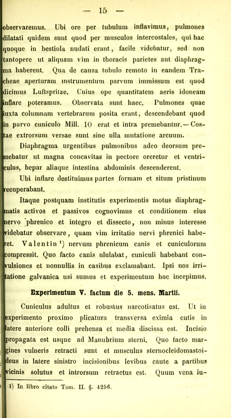 observaremus. Ubi ore per tubulum inflavimus, pulmones dilatati quidem sunt quod per musculos intercostales, qui hac quoque in bestiola nudati erant, facile videbatur, sed non tantopere ut aliquam vim in thoracis parietes aut diaphrag- ma haberent. Qua de causa tubulo remoto in eandem Tra- cheae aperturam instrumentum parvum immissum est quod dicimus Luftspritze. Cuius ope quantitatem aeris idoneam inflare poteramus. Observata sunt haec. Pulmones quae iuxta columnam vertebrarum posita erant, descendebant quod in parvo cuniculo Mill. 10 erat et intra premebantur.—Cos- tae extrorsum versae sunt sine ulla mutatione arcuum. Diaphragma urgentibus pulmonibus adeo deorsum pre- mebatur ut magna concavitas in pectore oreretur et ventri- culus, hepar aliaque intestina abdominis descenderent. Ubi inflare destituimus partes formam et situm pristinum recuperabant. Itaque postquam institutis experimentis motus diaphrag- matis activos et passivos cognovimus et conditionem eius Qervo phrenico et integro et dissecto, non minus interesse videbatur observare, quam vim irritatio nervi phrenici habe- ret. Valentin*) nervum phrenicum canis et cuniculorum compressit. Quo facto canis ululabat, cuniculi habebant con- vulsiones et nonnullis in casibus exclamabant. Ipsi nos irri- tatione galvanica usi sumus et experimentum hoc incepimus. Experimentum V. factum die 5. mens. Martii. Cuniculus adultus et robustus narcotisatus est. Ut in experimento proximo plicatura transversa eximia cutis in latere anteriore colli prehensa et media discissa est. Incisio propagata est usque ad Manubrium sterni. Quo facto mar- gines vulneris retracti sunt et musculus sternocleidomastoi- deus in latere sinistro incisionibus levibus caute a partibus vicinis solutus et introrsum retractus est. Quum vena iu-