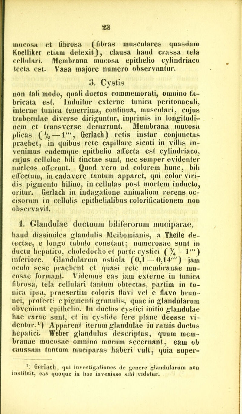 mucosa et fibrosa (fibras musculares quasdam Koeliiker etiam detexit}, clausa haud crassa tela cellulari. Membrana mucosa epithelio cylindriaco tecta est Vasa majore numero observantun 3. Cystis non tali modo^ quali ductus commemorati, omnino tk- bricata est Induitur externe tunica peritonaeali, interne tunica tenerrima, continua, musculari, cujus trabeculae diverse diriguntur, inprimis in longitudi- nem et transverse decurrunt Membrana mucosa plicas Gerlach} retis instar conjunctas praebet, in quibus rete capillare sicuti in villis in- venimus eademque epithelio atfecta est cylindriaco, cujus cellulae bili tinctae sunt, nec semper evidenter nucleos offerunt Quod vero ad colorem hunc, bili effectum, in cadavere tantum apparet, qui color viri* dis pigmento bilino, in cellulas post mortem inducto, oritun Gerlach in indagatione animalium recens oc- cisorum in cellulis epithelialibus colorificationera non observavit 4. Glandulae ductuum biliferorum mucipaiae, haud dissimiles glandulis Meibomianis, a Theile de- tectae, e longo tubulo constant; numerosae sunt in ductu hepatico, choledocho et parte cystici (J4 — 1'^'} inferiore. Glandularum ostiola (0,1—0,14'} jam oculo sese praebent et quasi rete membranae mu- cosae formant. Videmus eas jam externe in tunica fibrosa, tela cellulari tantum obtectas, partim in tu- nica ipsa, praesertim coloris flavi vel e flavo brun- nei, profecti e pigmenti granulis, quae in glandularum obveniunt epithelio. In ductus cystici initio glandulae hae rarae sunt, et in cystide fere plane deesse vi- dentur. ^} Apparent iterum glandulae in ramis ductus hepatici. Weber glandulas descriptas, quum mem- branae mucosae omnino mucum secernant, eam ob caussam tantum muciparas haberi vult, quia super- Geriach, qui investigationes de genere glandularum non instituit, eas quoque in hac invenisse sibi videtur.