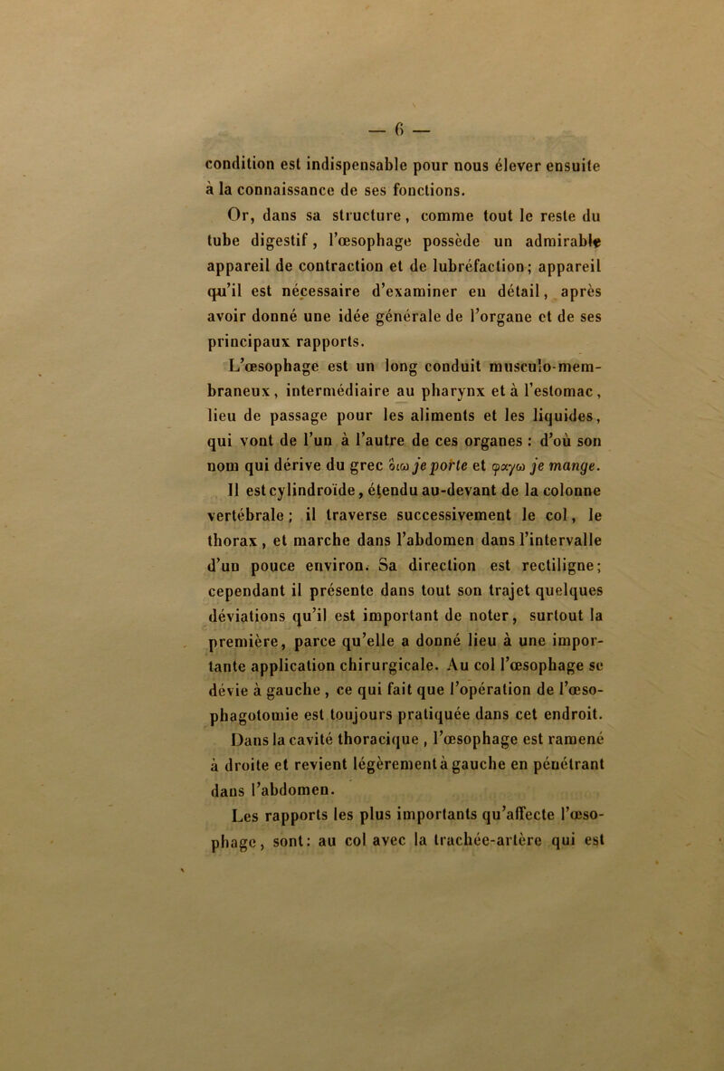 condition est indispensable pour nous élever ensuite à la connaissance de ses fonctions. Or, dans sa structure, comme tout le reste du tube digestif, l’œsophage possède un admirable appareil de contraction et de lubréfaction ; appareil qu’il est nécessaire d’examiner eu détail, après avoir donné une idée générale de l’organe et de ses principaux rapports. L’œsophage est un long conduit muscuîo-mem- braneux, intermédiaire au pharynx et à l’estomac, lieu de passage pour les aliments et les liquides, qui vont de l’un à l’autre de ces organes : d’où son nom qui dérive du grec om je porte et <pay« je mange. Il est cylindroïde, étendu au-devant de la colonne vertébrale ; il traverse successivement le col, le thorax, et marche dans l’abdomen dans l’intervalle d’un pouce environ. Sa direction est rectiligne; cependant il présente dans tout son trajet quelques déviations qu’il est important de noter, surtout la première, parce qu’elle a donné lieu à une impor- tante application chirurgicale. Au col l’œsophage se dévie à gauche , ce qui fait que l’opération de l’œso- phagotomie est toujours pratiquée dans cet endroit. Dans la cavité thoracique , l’œsophage est ramené à droite et revient légèrementàgauche en pénétrant daus l’abdomen. Les rapports les plus importants qu’affecte l’œso- phage, sont: au col avec la trachée-artère qui est