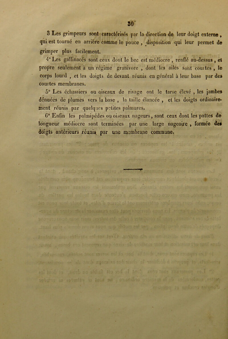 B Les grimpeurs sont caractérisas par la direction de leur doigt externe , qui est tourné en arrière comme le pouce , disposition qui leur permet de grimper plus facilement. 4° Les gallinacés sont ceux dont le bec est médiocre , renflé au-dessus , et propre seulement à un régime granivore , dont les ailes sont couites , le corps lourd , et les doigts de devant réunis en général à leur base par de» courtes membranes. 5° Les échassiers ou oiseaux de rivage ont le tarse élevé , les jambe» dénuées de plumes vers la base , la taille élancée , et les doigts ordinaire- ment réunis par quelques petites palmures. G0 Enfin les palmipèdes ou oiseaux nageurs, sont ceux dont les pattes de longueur médiocre sont terminées par une large nageoire , formée de» doigts antérieurs réunis par une membrane commune.