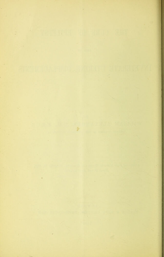 digitised image 2