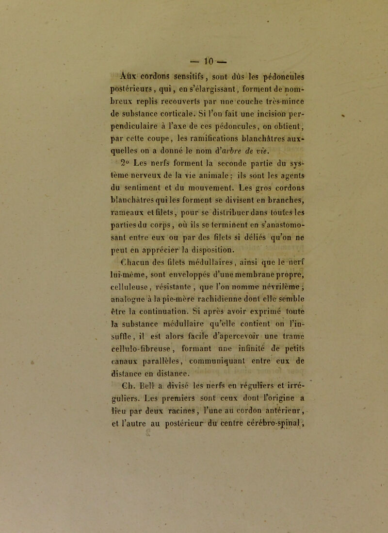 Aux cordons sensitifs, sont dûs les pédoncules postérieurs, qui, en s’élargissant, forment de nom- breux replis recouverts par une couche très-mince de substance corticale. Si l’on fait une incision per- pendiculaire à l’axe de ces pédoncules, on obtient, par cette coupe, les ramifications blanchâtres aux- quelles on a donné le nom d’ar&re de vie. 2“ Les nerfs forment la seconde partie du sys- tème nerveux de la vie animale; ils sont les agents du sentiment et du mouvement. Les gros cordons blanchâtres qui les forment sé divisent en branches, rameaux et filets, pour se distribuer dans toutes les parties du corps, où ils se termirtent en s’anastomo- sant entre eux ou par des filets si déliés qu’on ne peut en apprécier la disposition. Chacun des filets médullaires, ainsi que le nerf luî-nième, sont enveloppés d’une membrane propre, celluleuse, résistante , que l’on nomme névrilème ; analogue à la pie-mère rachidienne dont elle semble être la continuation. Si après avoir exprimé toute la substance médullaire qu’elle contient on l’in- suffle, il est alors facile d’apercevoir une trame cellulo-fibreuse, formant une infinité de petits canaux parallèles, communiquant entre eux de distance en distance. Gh. Bell a divisé les nerfs en réguliers et irré- guliers. Les premiers sont ceux dont l’origine a lieu par deux racines, l’une au cordon antérieur,- et l’autre au postérieur du centre cérébro-spinal,