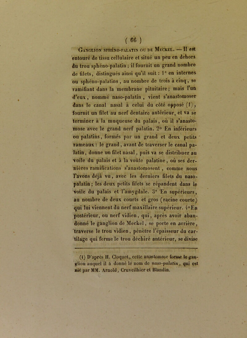 Ganglton sphéno-palatin ou de Meckel. —11 est entouré de tissu cellulaire et situé un peu en dehors du trou sphéno-palatin ; il fournit un grand nombre de filets, distingués ainsi qu’il suit : 1® en internes ou sphéno-palalins , au nombre de trois à cinq, se ramifiant dans la membrane pituitaire; mais Tun d’eux, nommé naso-palatin , vient s’anastomoser dans le canal nasal à celui du côté opposé (!}, fournit un filet au nerf dentaire antérieur, et va se terminer à la muqueuse du palais, où il s’anasto- mose avec le grand nerf palatin. 2® En inférieurs ou palatins, formés par un grand et deux petits ' rameaux : le grand, avant de traverser le canal pa- latin, donne un filet nasal, puis va se distribuer au ioile du palais et à la voûte palatine, où ses der- nières ramifications s’anastomosent , comme nous l’avons déjà vu, avec les derniers filets du naso- palatin ; les deux petits filets se répandent dans le Voile du palais et l’amygdale. 3“ En supérieurs, au nombre de deux courts et gros (racine courte,) qui lui viennent du nerf maxillaire supérieur. 4®En postérieur, ou nerf vidien, qui, après avoir aban- donné le ganglion de Meckel, se porte en arrière, traverse le trou vidien, pénètre l’épaisseur du car- tilage qui ferme le trou déchiré antérieur, se divise (1) D’après H. Cloquet, cette anastomose fbrnu; le gan- glion auquel il a donné le nom de naso-palatin, qui est nié par MM. Arnold, Cruveilhier et Blandin.