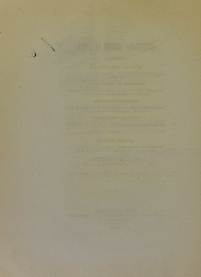 digitised image 2