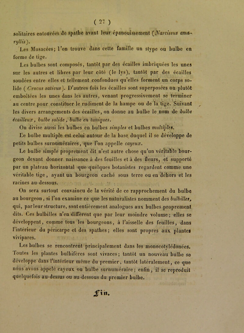 solitaires entourées de spatbe avant leur épanouissement {IVarcissus ama^ njlli's ). /Les Mnsacées; l’on trouve dans cette famille un stype ou bulbe en forme de tige. Les bulbes sont composés, tantôt par des écailles imbriquées les unes sur les autres et libres par leur côté (le lys), tantôt par des écailles soudées entre elles et tellement confondues qu’elles forment un corps so- lide ( Crocus saiivus]. D’autres fois les écailles sont superposées OU plutôt emboîtées les unes dans les autres, venant progressivement se terminer au centre pour constituer le rudiment de la hampe ou de la lige. Suivant ^ les divers arrangements des écailles, on donne au bulbe le.nom de hulbe écailleux J bulbe solide j bulbe e7i tuniques. Ou divise aussi les bulbes en bulbes simples et bulbes multiplet. Le bulbe multiple est celui autour de la basq duquel il se développe de petits bulbes surnuméraires, que l’on appelle caxjeux. Le bulbe simple propretnent dit n’est autre chose qu’un véritable bour- geon devant donner naissance à des feuilles et à des fleurs^ et supporté par un plateau horizontal que quelques botanistes regardent comme une véritable tige , ayant un bourgeon caché sous terre ou en dehors et les racines au-dessous. y •. On sera surtout convaincu de la vérité de ce rapprochement du bulbe au bourgeon , si l’on examine ce que les naturalistes nomment des bulbilles, qui, parleur structure, sont entièrement analogues aux bulbes proprement dits. Ces bulbilles n’en dilîèrent que par leur moindre volume ;'elles se développent, comme tous les bourgeons, à l’aisselle des feuilles, dans l’intérieur du péricarpe et des spathes ; elles sont propres aux plantes vivipares. ■ Les bulbes se rencontrent principalement dans les monocotylédonées. Foutes les plantes bulbifères sont vivaces; tantôt un nouveau bulbe se développe dans l’intérieur môme du premier, tantôt latéralement, ce que nous avons appelé cayeux ou bulbe surnuméraire; enfin, il se reproduit quelquefois au-dessus ou au-dessous du premier bulbe.