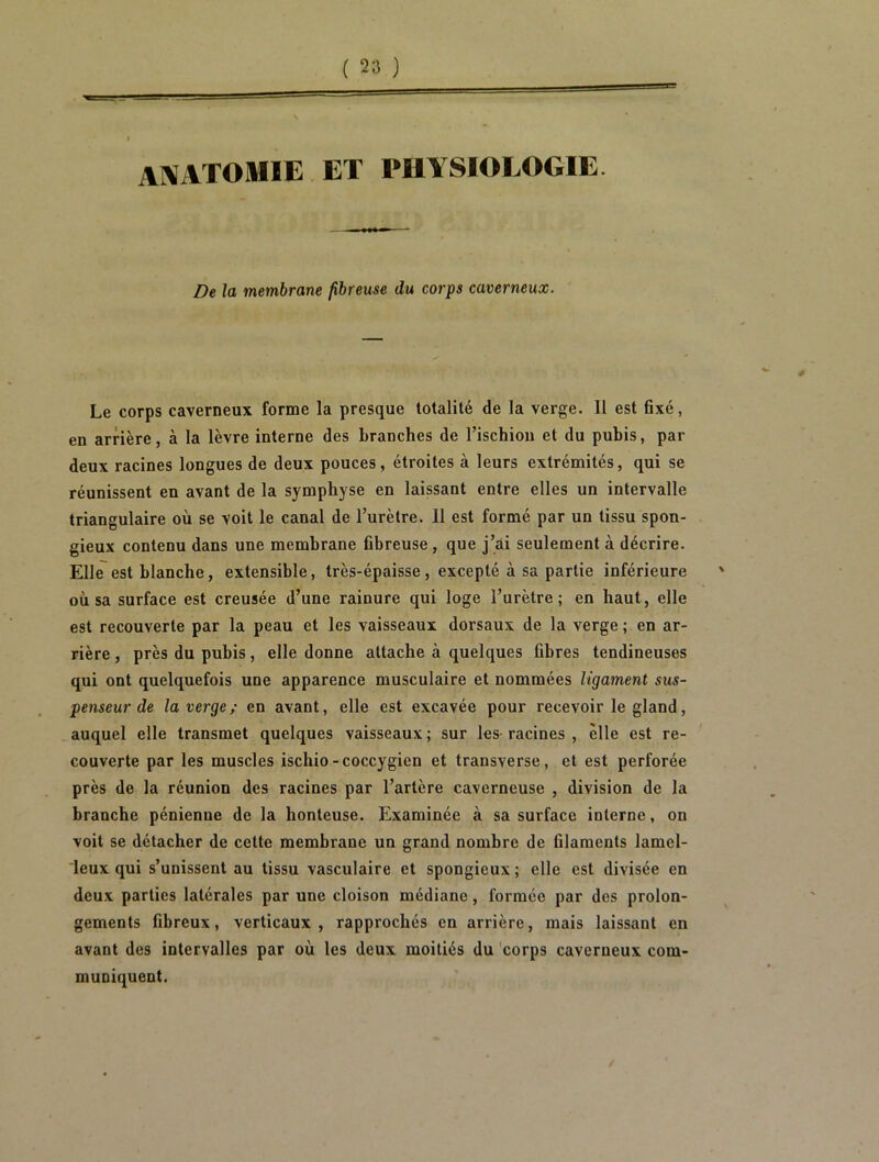 anatomie et physiologie. De la membrane fibreuse du corps caverneux. Le corps caverneux forme la presque totalité de la verge. 11 est fixé, en arrière, à la lèvre interne des branches de l’ischion et du pubis, par deux racines longues de deux pouces, étroites à leurs extrémités, qui se réunissent en avant de la symphyse en laissant entre elles un intervalle triangulaire où se voit le canal de l’urètre. 11 est formé par un tissu spon- gieux contenu dans une membrane fibreuse, que j’ai seulement à décrire. Elle est blanche, extensible, très-épaisse, excepté à sa partie inférieure où sa surface est creusée d’une rainure qui loge l’urètre; en haut, elle est recouverte par la peau et les vaisseaux dorsaux de la verge ; en ar- rière, près du pubis, elle donne attache à quelques fibres tendineuses qui ont quelquefois une apparence musculaire et nommées ligament sus- penseur de la verge/ en avant, elle est excavée pour recevoir le gland, auquel elle transmet quelques vaisseaux; sur les-racines , elle est re- couverte par les muscles ischio-coccygien et transverse, et est perforée près de la réunion des racines par l’artère caverneuse , division de la branche pénienue de la honteuse. Examinée à sa surface interne, on voit se détacher de cette membrane un grand nombre de filaments lamcl- leux qui s’unissent au tissu vasculaire et spongieux; elle est divisée en deux parties latérales par une cloison médiane, formée par des prolon- gements fibreux, verticaux, rapprochés en arrière, mais laissant en avant des intervalles par où les deux moitiés du corps caverneux com- muniquent. /