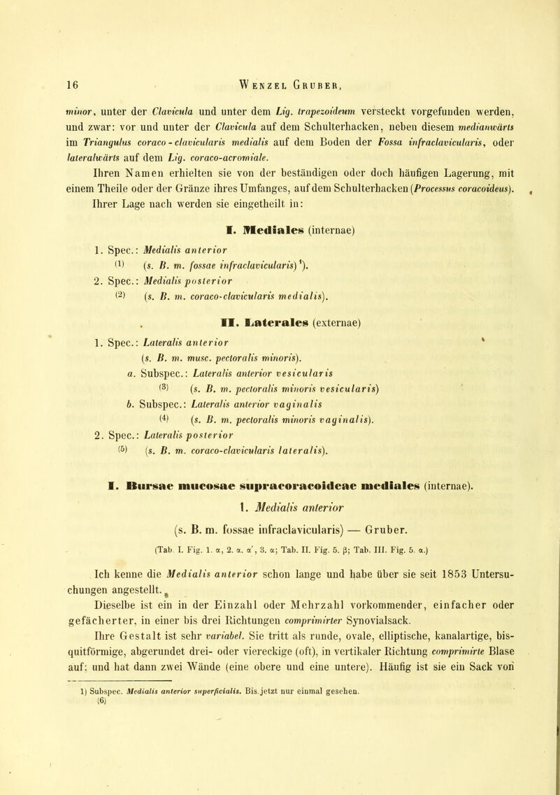 minor, unter der Clavicula und unter dem Lig. trapezoideum versteckt vorgefunden werden, und zwar: vor und unter der Clavicnla auf dem Schulterhacken, neben diesem medianwärts im Triangulus coraco - clavicularis medialis auf dem Boden der Fossa infraclavicularis, oder laleraluärts auf dem Lig. coraco-acrorniale. Ihren Namen erhielten sie von der beständigen oder doch häufigen Lagerung, mit einem Theile oder der Gränze ihres Umfanges, auf dem Schulterhacken (Processus coracoideus). « Ihrer Lage nach werden sie eingetheilt in: I. Mediales (internae) 1. Spec.: Medialis anterior B) (s. B. m. fossae infraclavicularis)'). 2. Spec.: Medialis posterior (2) (s. B. m. coraco-clavicularis medialis). . II. Laterales (externae) 1. Spec.: Lateralis anterior (s. B. m. musc. pectoralis minoris). a. Subspec.: Lateralis anterior vesicularis <3) (s. B. m. pectoralis minoris vesicularis) b. Subspec.: Lateralis anterior vaginalis G) (s. B. m. pectoralis minoris vaginalis). 2. Spec.: Lateralis posterior <5) (s. B. m. coraco-clavicularis lateralis). I. Bursae mucosae supracoracoideae mediales (internae). t. Medialis anterior (s. B. m. fossae infraclavicularis) — Grub er. (Tab. I. Fig. 1. a, 2. a. a', 3. a; Tab. II. Fig. 5. ß; Tab. III. Fig. 5. a.) Ich kenne die Medialis anterior schon lange und habe über sie seit 1853 Untersu- chungen angestellt. Dieselbe ist ein in der Einzahl oder Mehrzahl vorkommender, einfacher oder gefächerter, in einer bis drei Richtungen comprimirter Synovialsack. Ihre Gestalt ist sehr variabel. Sie tritt als runde, ovale, elliptische, kanalartige, bis- quitförmige, abgerundet drei- oder viereckige (oft), in vertikaler Richtung comprimirte Blase auf; und hat dann zw'ei Wände (eine obere und eine untere). Häufig ist sie ein Sack von 1) Subspec. Medialis anterior superficialis. Bis jetzt nur einmal gesehen. (6) i