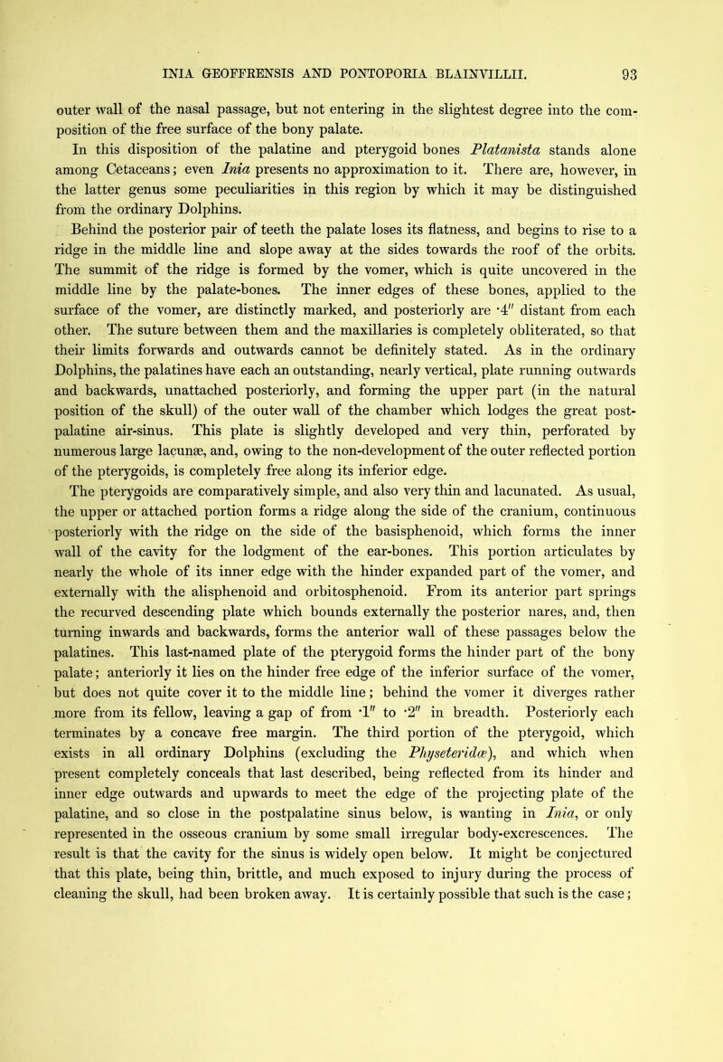 outer wall of the nasal passage, but not entering in the slightest degree into the com- position of the free surface of the bony palate. In this disposition of the palatine and pterygoid bones Platanista stands alone among Cetaceans; even Inia presents no approximation to it. There are, however, in the latter genus some peculiarities in this region by which it may be distinguished from the ordinary Dolphins. Behind the posterior pair of teeth the palate loses its flatness, and begins to rise to a ridge in the middle line and slope away at the sides towards the roof of the orbits. The summit of the ridge is formed by the vomer, which is quite uncovered in the middle line by the palate-bones. The inner edges of these bones, applied to the surface of the vomer, are distinctly marked, and posteriorly are *4 distant from each other. The suture between them and the maxillaries is completely obliterated, so that their limits forwards and outwards cannot be definitely stated. As in the ordinary Dolphins, the palatines have each an outstanding, nearly vertical, plate running outwards and backwards, unattached posteriorly, and forming the upper part (in the natural position of the skull) of the outer wall of the chamber which lodges the great post- palatine air-sinus. This plate is slightly developed and very thin, perforated by numerous large lacunae, and, owing to the non-development of the outer reflected portion of the pterygoids, is completely free along its inferior edge. The pterygoids are comparatively simple, and also very thin and lacunated. As usual, the upper or attached portion forms a ridge along the side of the cranium, continuous posteriorly with the ridge on the side of the basisphenoid, which forms the inner wall of the cavity for the lodgment of the ear-bones. This portion articulates by nearly the whole of its inner edge with the hinder expanded part of the vomer, and externally with the alisphenoid and orbitosphenoid. From its anterior part springs the recurved descending plate which bounds externally the posterior nares, and, then turning inwards and backwards, forms the anterior wall of these passages below the palatines. This last-named plate of the pterygoid forms the hinder part of the bony palate; anteriorly it lies on the hinder free edge of the inferior surface of the vomer, but does not quite cover it to the middle line; behind the vomer it diverges rather more from its fellow, leaving a gap of from T to *2 in breadth. Posteriorly each terminates by a concave free margin. The third portion of the pterygoid, which exists in all ordinary Dolphins (excluding the Physeteridce), and which when present completely conceals that last described, being reflected from its hinder and inner edge outwards and upwards to meet the edge of the projecting plate of the palatine, and so close in the postpalatine sinus below, is wanting in Inia, or only represented in the osseous cranium by some small irregular body-excrescences. The result is that the cavity for the sinus is widely open below. It might be conjectured that this plate, being thin, brittle, and much exposed to injury during the process of cleaning the skull, had been broken away. It is certainly possible that such is the case;