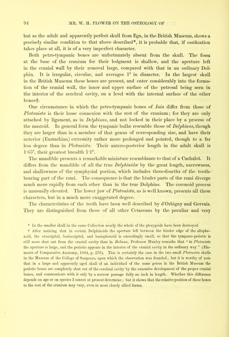 but as the adult and apparently perfect skull from Ega, in the British Museum, shows a precisely similar condition to that above described*, it is probable that, if ossification takes place at all, it is of a very imperfect character. Both petro-tympanic bones are unfortunately absent from the skull. The fossa at the base of the cranium for their lodgment is shallow, and the aperture left in the cranial wall by their removal large, compared with that in an ordinary Dol- phin. It is irregular, circular, and averages 1 in diameter. In the largest skull in the British Museum these bones are present, and enter considerably into the forma- tion of the cranial wall, the inner and upper surface of the petrosal being seen in the interior of the cerebral cavity, on a level with the internal surface of the other bonesf. One circumstance in which the petro-tympanic bones of Inia differ from those of Platanista is their loose connexion with the rest of the cranium; for they are only attached by ligament, as in Delphinus, and not locked in their place by a process of the mastoid. In general form the tympanic bullae resemble those of Delphinus, though they are larger than in a member of that genus of corresponding size, and have their anterior (Eustachian) extremity rather more prolonged and pointed, though to a far less degree than in Platanista. Their anteroposterior length in the adult skull is 1*65, their greatest breadth 1*1. The mandible presents a remarkable miniature resemblance to that of a Cachalot. It differs from the mandible of all the true Peliilimidas by the great length, narrowness, and shallowness of the symphysial portion, which includes three-fourths of the tooth-' bearing part of the rami. The consequence is that the hinder parts of the rami diverge much more rapidly from each other than in the true Dolphins. The coronoid process is unusually elevated. The lower jaw of Platanista, as is well known, presents all these characters, but in a much more exaggerated degree. The characteristics of the teeth have been well described by d’Orbigny and Gervais. They are distinguished from those of all other Cetaceans by the peculiar and very * In the smaller skull in the same Collection nearly the whole of the pterygoids have been destroyed. t After noticing that in certain Delphinoids the aperture left between the hinder edge of the alisphe- noid, the exoccipital, hasioccipital, and basisphenoid is exceedingly small, so that the tympano-periotic is still more shut out from the cranial cavity than in Balcena, Professor Huxley remarks that “ in Platanista the aperture is large, and the periotic appears in the interior of the cranial cavity in the ordinary way ” (Ele- ments of Comparative Anatomy, 1864, p. 276). This is certainly the case in the two small Platanista skulls in the Museum of the College of Surgeons, upon which the observation was founded ; but it is worthy of note that in a large and apparently aged skull of an individual of the same genus in the British Museum the periotic hones are completely shut out of the cerebral cavity by the excessive development of the proper cranial bones, and communicate with it only by a narrow passage fully an inch in length. Whether this difference depends on age or on species I cannot at present determine ; hut it shows that the relative position of these hones to the rest of the cranium may vary, even in most closely allied forms.