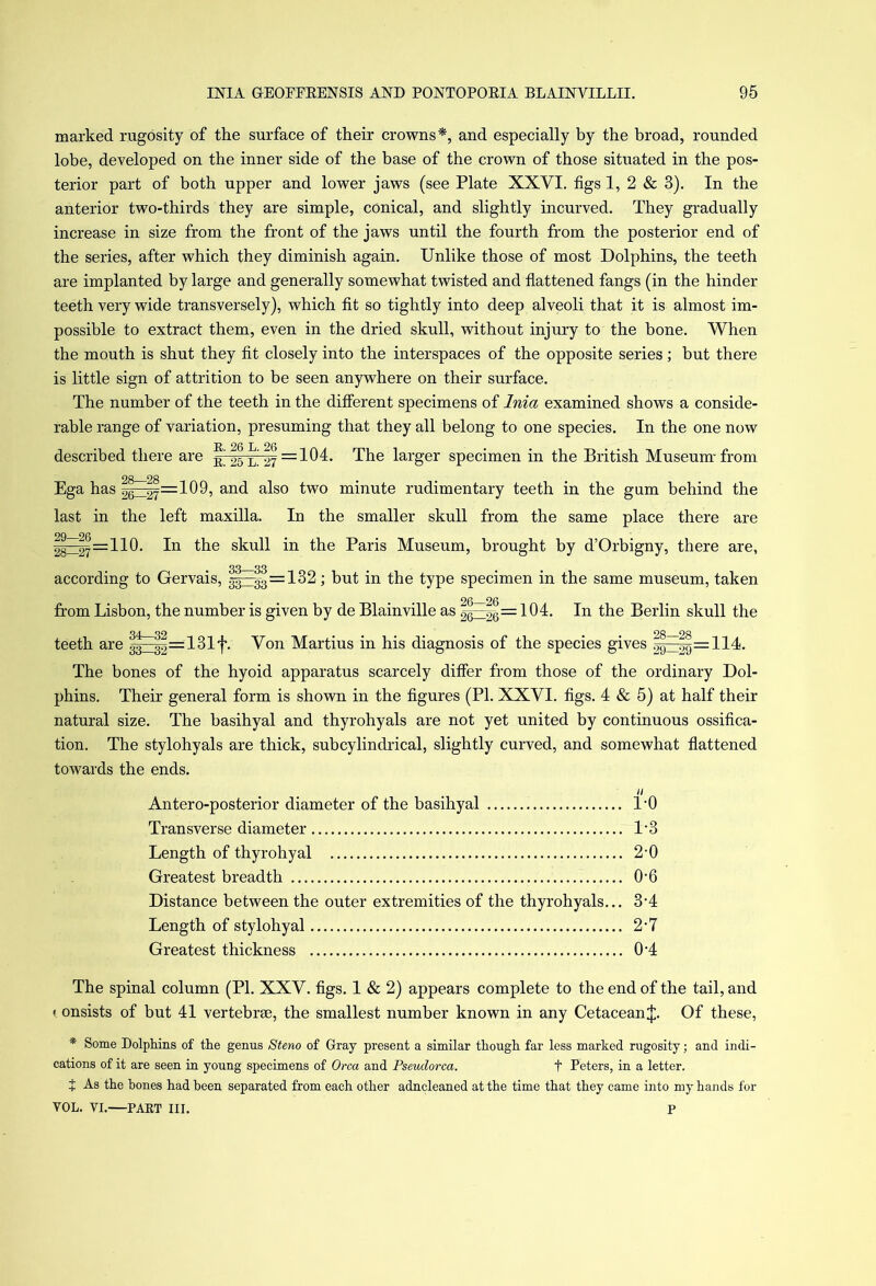 marked rugosity of the surface of their crowns*, and especially by the broad, rounded lobe, developed on the inner side of the base of the crown of those situated in the pos- terior part of both upper and lower jaws (see Plate XXVI. figs 1, 2 & 3). In the anterior two-thirds they are simple, conical, and slightly incurved. They gradually increase in size from the front of the jaws until the fourth from the posterior end of the series, after which they diminish again. Unlike those of most Dolphins, the teeth are implanted by large and generally somewhat twisted and flattened fangs (in the hinder teeth very wide transversely), which fit so tightly into deep alveoli that it is almost im- possible to extract them, even in the dried skull, without injury to the bone. When the mouth is shut they fit closely into the interspaces of the opposite series; but there is little sign of attrition to be seen anywhere on their surface. The number of the teeth in the different specimens of Inia examined shows a conside- rable range of variation, presuming that they all belong to one species. In the one now described there are 25 L. 27 —104. The larger specimen in the British Museum-from Ega has 26_27=109, and also two minute rudimentary teeth in the gum behind the last in the left maxilla. In the smaller skull from the same place there are 28—27 —: 11Q• In the skull in the Paris Museum, brought by d’Orbigny, there are, according to Gervais, g|^|g=132; but in the type specimen in the same museum, taken from Lisbon, the number is given by de Blainville as 26=26= I^I- In the Berlin skull the teeth are |^j|=131f. Von Martius in his diagnosis of the species gives ||^||=114. The bones of the hyoid apparatus scarcely differ from those of the ordinary Dol- phins. Their general form is shown in the figures (PI. XXVI. figs. 4 & 5) at half their natural size. The basihyal and thyrohyals are not yet united by continuous ossifica- tion. The stylohyals are thick, subcylindrical, slightly curved, and somewhat flattened towards the ends. Antero-posterior diameter of the basihyal l-0 Transverse diameter U3 Length of thyrohyal 2-0 Greatest breadth 0’6 Distance between the outer extremities of the thyrohyals... 3‘4 Length of stylohyal 2‘7 Greatest thickness 0-4 The spinal column (PI. XXV. figs. 1 & 2) appears complete to the end of the tail, and I onsists of but 41 vertebrae, the smallest number known in any Cetacean J. Of these, * Some Dolphins of the genus Steno of Gray present a similar though far less marked rugosity; and indi- cations of it are seen in young specimens of Orca and Pseudorca. t Peters, in a letter. t As the hones had been separated from each other adncleaned at the time that they came into my hands for VOL. VI. PART III. P