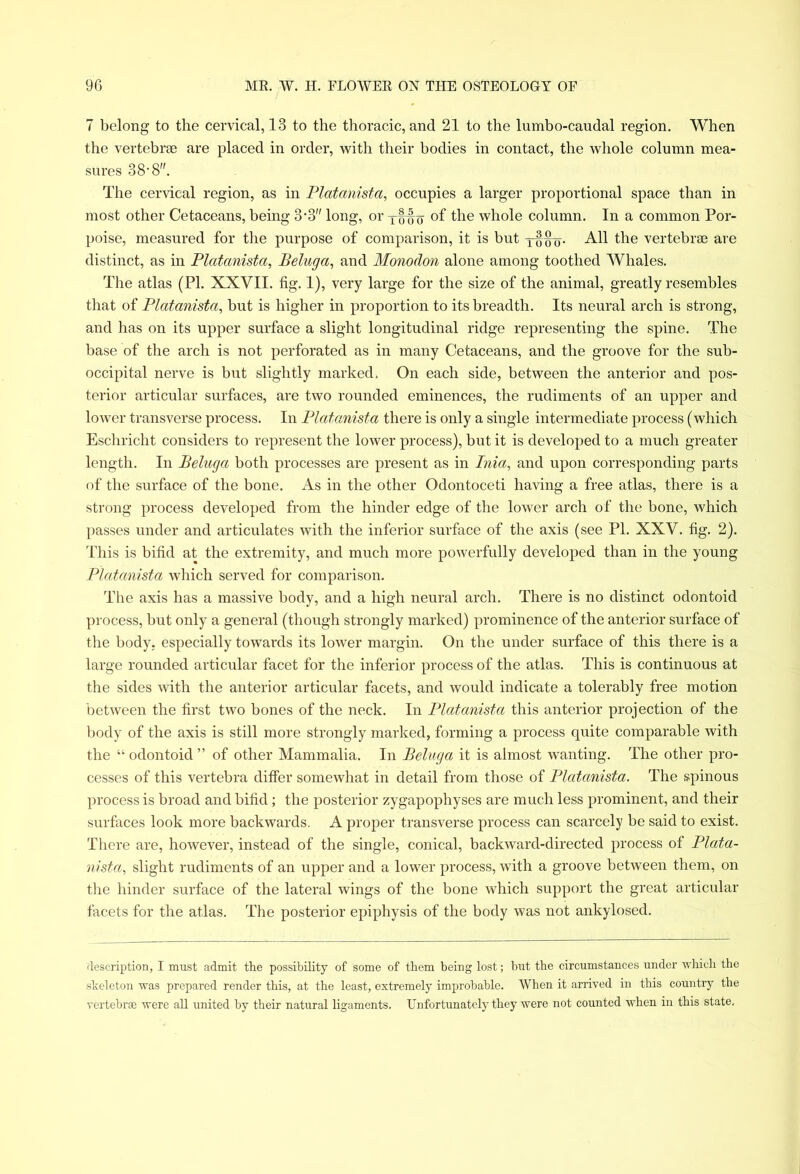 7 belong to the cervical, 13 to the thoracic, and 21 to the lumbo-caudal region. When the vertebrae are placed in order, with their bodies in contact, the whole column mea- sures 38' 8. The cervical region, as in Platanista, occupies a larger proportional space than in most other Cetaceans, being 3'3 long, or °f the whole column. In a common Por- poise, measured for the purpose of comparison, it is but xooo- All the vertebrae are distinct, as in Platanista, Beluga, and Monodon alone among toothed Whales. The atlas (PI. XXVII. fig. 1), very large for the size of the animal, greatly resembles that of Platanista, but is higher in proportion to its breadth. Its neural arch is strong, and has on its upper surface a slight longitudinal ridge representing the spine. The base of the arch is not perforated as in many Cetaceans, and the groove for the sub- occipital nerve is but slightly marked. On each side, between the anterior and pos- terior articular surfaces, are two rounded eminences, the rudiments of an upper and lower transverse process. In Platanista there is only a single intermediate process (which Eschricht considers to represent the lower process), but it is developed to a much greater length. In Beluga both processes are present as in Inia, and upon corresponding parts of the surface of the bone. As in the other Odontoceti having a free atlas, there is a strong process developed from the hinder edge of the lower arch of the bone, which passes under and articulates with the inferior surface of the axis (see PI. XXV. fig. 2). This is bifid at the extremity, and much more powerfully developed than in the young Platanista which served for comparison. The axis has a massive body, and a high neural arch. There is no distinct odontoid process, but only a general (though strongly marked) prominence of the anterior surface of the body, especially towards its lower margin. On the under surface of this there is a large rounded articular facet for the inferior process of the atlas. This is continuous at the sides with the anterior articular facets, and would indicate a tolerably free motion between the first two bones of the neck. In Platanista this anterior projection of the body of the axis is still more strongly marked, forming a process quite comparable with the “ odontoid ” of other Mammalia. In Beluga it is almost wanting. The other pro- cesses of this vertebra differ somewhat in detail from those of Platanista. The spinous process is broad and bifid; the posterior zygapophyses are much less prominent, and their surfaces look more backwards. A proper transverse process can scarcely be said to exist. There are, however, instead of the single, conical, backward-directed process of Plata- nista, slight rudiments of an upper and a lower process, with a groove between them, on the hinder surface of the lateral wings of the bone which support the great articular facets for the atlas. The posterior epiphysis of the body was not ankylosed. description, I must admit the possibility of some of them being lost; but the circumstances under which the .skeleton was prepared render this, at the least, extremely improbable. When it arrived in this country the vertebras were all united by their natural ligaments. Unfortunately they were not counted when in this state.