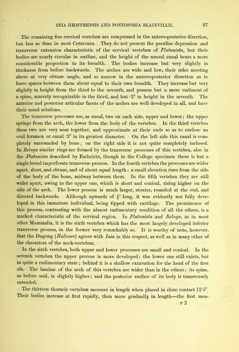 The remaining five cervical vertebrae are compressed in the antero-posterior direction, but less so than in most Cetaceans. They do not present the peculiar depression and transverse extension characteristic of the cervical vertebrae of Platanista, but their bodies are nearly circular in outline, and the height of the neural canal bears a more considerable proportion to its breadth. The bodies increase but very slightly in thickness from before backwards. The arches are wide and low, their sides meeting above at very obtuse angle, and so narrow in the antero-posterior direction as to leave spaces between them about equal to their own breadth. They increase but very slightly in height from the third to the seventh, and possess but a mere rudiment of a spine, scarcely recognizable in the third, and but -2 in height in the seventh. The anterior and posterior articular facets of the arches are well developed in all, and have their usual relations. The transverse processes are, as usual, two on each side, upper and lower; the upper springs from the arch, the lower from the body of the vertebra. In the third vertebra these two are very near together, and approximate at their ends so as to enclose an oval foramen or canal '2 in its greatest diameter. On the left side this canal is com- pletely surrounded by bone; on the right side it is not quite completely inclosed. In Beluga similar rings are formed by the transverse processes of this vertebra, also in the Platanista described by Eschricht, though in the College specimen there is but a single broad imperforate transverse process. In the fourth vertebra the processes are wider apart, short, and obtuse, and of about equal length; a small elevation rises from the side of the body of the bone, midway between them. In the fifth vertebra they are still wider apart, owing to the upper one, which is short and conical, rising higher on the side of the arch. The lower process is much larger, stouter, rounded at the end, and directed backwards. Although upwards of long, it was evidently not fully deve- loped in this immature individual, being tipped with cartilage. The prominence of this process, contrasting with the almost rudimentary condition of all the others, is a marked characteristic of the cervical region. In Platanista and Beluga, as in most other Mammalia, it is the sixth vertebra which has the most largely developed inferior transverse process, in the former very remarkably so. It is worthy of note, however, that the Dugong (Halicore) agrees with Inia in this respect, as well as in many other of the characters of the neck-vertebrse. In the sixth vertebra, both upper and lower processes are small and conical. In the seventh vertebra the upper process is more developed; the lower one still exists, but in quite a rudimentary state; behind it is a shallow excavation for the head of the first rib. The laminae of the arch of this vertebra are wider than in the others; its spine, as before said, is slightly higher; and the posterior surface of its body is transversely extended. The thirteen thoracic vertebrae measure in length when placed in close contact 12-5. Their bodies increase at first rapidly, then more gradually in length—the first mea- p 2