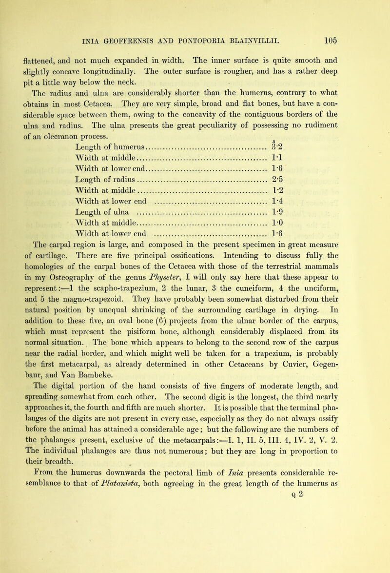 flattened, and not much expanded in width. The inner surface is quite smooth and slightly concave longitudinally. The outer surface is rougher, and has a rather deep pit a little way below the neck. The radius and ulna are considerably shorter than the humerus, contrary to what obtains in most Cetacea. They are very simple, broad and flat bones, but have a con- siderable space between them, owing to the concavity of the contiguous borders of the ulna and radius. The ulna presents the great peculiarity of possessing no rudiment of an olecranon process. r n Length of humerus 3‘2 Width at middle IT Width at lower end 1*6 Length of radius 2’5 AVidth at middle I *2 AViclth at lower end IT Length of ulna 1*9 Width at middle l’O Width at lower end l-6 The carpal region is large, and composed in the present specimen in great measure of cartilage. There are five principal ossifications. Intending to discuss fully the homologies of the carpal bones of the Cetacea with those of the terrestrial mammals in my Osteography of the genus Pkyseter, I will only say here that these appear to represent:—1 the scapho-trapezium, 2 the lunar, 3 the cuneiform, 4 the unciform, and 5 the magno-trapezoid. They have probably been somewhat disturbed from their natural position by unequal shrinking of the surrounding cartilage in drying. In addition to these five, an oval bone (6) projects from the ulnar border of the carpus, which must represent the pisiform bone, although considerably displaced from its normal situation. The bone which appears to belong to the second row of the carpus near the radial border, and which might well be taken for a trapezium, is probably the first metacarpal, as already determined in other Cetaceans by Cuvier, Gegen- baur, and Van Bambeke. The digital portion of the hand consists of five fingers of moderate length, and spreading somewhat from each other. The second digit is the longest, the third nearly approaches it, the fourth and fifth are much shorter. It is possible that the terminal pha- langes of the digits are not present in every case, especially as they do not always ossify before the animal has attained a considerable age; but the following are the numbers of the phalanges present, exclusive of the metacarpals:—I. 1, II. 5, III. 4, IV. 2, V. 2. The individual phalanges are thus not numerous; but they are long in proportion to their breadth. ■ * .... * From the humerus downwards the pectoral limb of Inia presents considerable re- semblance to that of Platcmista, both agreeing in the great length of the humerus as Q 2