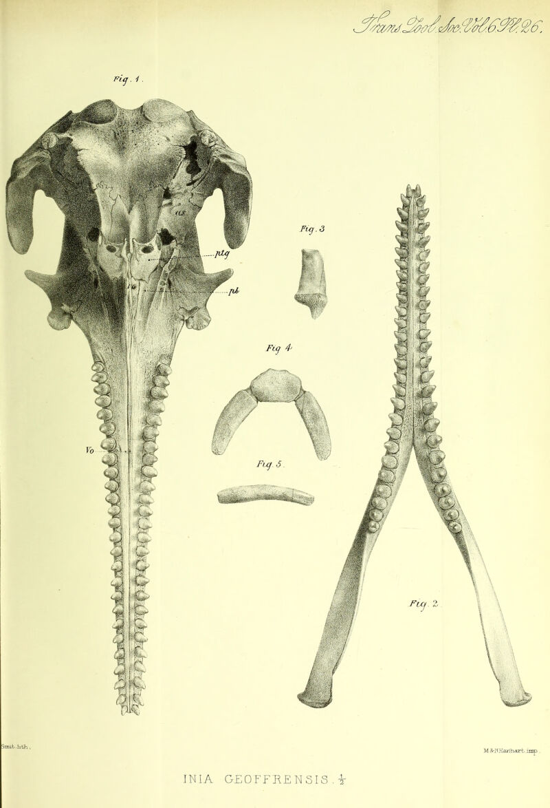 Smii .lit/h , M Srl'i Harfh art- imp .