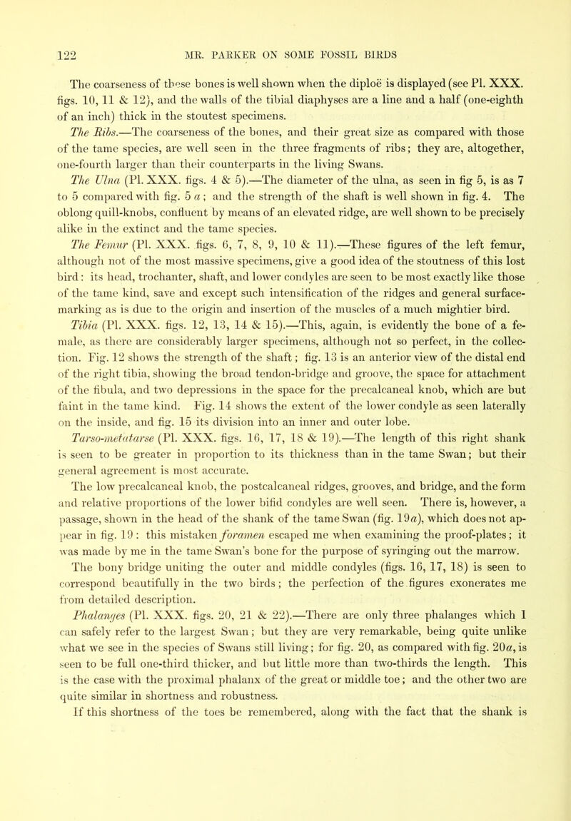 The coarseness of these bones is well shown when the diploe is displayed (see PI. XXX. figs. 10, 11 & 12), and the walls of the tibial diaphyses are a line and a half (one-eighth of an inch) thick in the stoutest specimens. The Ribs.—The coarseness of the bones, and their great size as compared with those of the tame species, are well seen in the three fragments of ribs; they are, altogether, one-fourth larger than their counterparts in the living Swans. The Ulna (PI. XXX. figs. 4 & 5).—The diameter of the ulna, as seen in fig 5, is as 7 to 5 compared with fig. 5 a ; and the strength of the shaft is well shown in fig. 4. The oblong quill-knobs, confluent by means of an elevated ridge, are well shown to be precisely alike in the extinct and the tame species. The Femur (PI. XXX. figs. 6, 7, 8, 9, 10 & 11).—These figures of the left femur, althougli not of the most massive specimens, gi\ e a good idea of the stoutness of this lost bird: its head, trochanter, shaft, and lower condyles are seen to be most exactly like those of the tame kind, save and except such intensification of the ridges and general surface- marking as is due to the origin and insertion of the muscles of a much mightier bird. Tibia (PI. XXX. figs. 12, 13, 14 & 15).—This, again, is evidently the bone of a fe- male, as there are considerably larger specimens, although not so perfect, in the collec- tion. Fig. 12 shows the strength of the shaft; fig. 13 is an anterior view of the distal end of the right tibia, showing the broad tendon-bridge and groove, the space for attachment of the fibula, and two depressions in the space for the precalcaneal knob, which are but faint in the tame kind. Fig. 14 shows the extent of the lower condyle as seen laterally on the inside, and fig. 15 its division into an inner and outer lobe. Tar so-met afar se (PI. XXX. figs. 16, 17, 18 & 19).—The length of this right shank is seen to be greater in proportion to its thickness than in the tame Swan; but their general agreement is most accurate. The low precalcaneal knob, the postcalcaneal ridges, grooves, and bridge, and the form and relative proportions of the lower bifid condyles are well seen. There is, however, a passage, shown in the head of the shank of the tame Swan (fig. 19 a), which does not ap- pear in fig. 19 : this mistaken foramen escaped me Avhen examining the proof-plates; it was made by me in the tame Swan’s bone for the purpose of syringing out the marrow. The bony bridge uniting the outer and middle condyles (figs. 16, 17, 18) is seen to correspond beautifully in the two birds; the perfection of the figures exonerates me from detailed description. Phalanges (PI. XXX. figs. 20, 21 & 22).—There are only three phalanges which 1 can safely refer to the largest Swan; but they are very remarkable, being quite unlike what we see in the species of Swans still living; for fig. 20, as compared with fig. 20«, is seen to be full one-third thicker, and but little more than two-thirds the length. This is the case with the proximal phalanx of the great or middle toe; and the other two are quite similar in shortness and robustness. If this shortness of the toes be remembered, along with the fact that the shank is