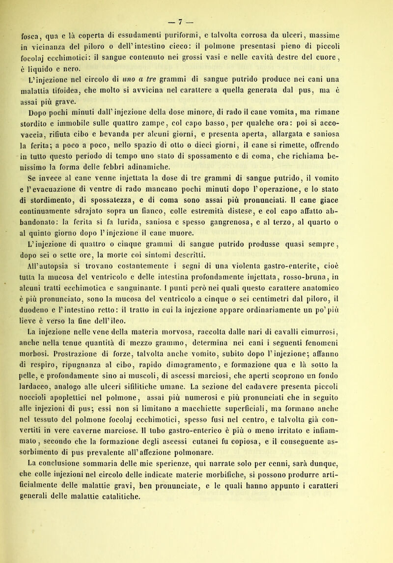 fosca, qua e là coperta di essudamenli puriformi, e talvolta corrosa da ulceri, massime in vicinanza del piloro o dell’intestino cieco: il polmone presentasi pieno di piccoli focolaj eccliimotici: il sangue contenuto nei grossi vasi e nelle cavità destre del cuore, è liquido e nero. L’injezione nel circolo di uno a tre grammi di sangue putrido produce nei cani una malattia tifoidea, che molto si avvicina nel carattere a quella generata dal pus, ma è assai più grave. Dopo pochi minuti dall’injezione della dose minore, di rado il cane vomita, ma rimane stordito e immobile sulle quattro zampe, col capo basso, per qualche ora: poi si acco- vaccia, rifiuta cibo e bevanda per alcuni giorni, e presenta aperta, allargata e saniosa la ferita; a poco a poco, nello spazio di otto o dieci giorni, il cane si rimette, offrendo in tutto questo periodo di tempo uno stato di spossamento e di coma, che richiama be- nissimo la forma delie febbri adinamiche. Se invece al cane venne injettata la dose di tre grammi di sangue putrido, il vomito e l’evacuazione di ventre di rado mancano pochi minuti dopo l’operazione, e lo stato di stordimento, di spossatezza, e di coma sono assai più pronunciati. 11 cane giace continuamente sdrajato sopra un fianco, colle estremità distese, e col capo affatto ab- bandonato: la ferita si fa lurida, saniosa c spesso gangrenosa, e al terzo, al quarto o al quinto giorno dopo l’injezione il cane muore. L’injezione di quattro o cinque grammi di sangue putrido produsse quasi sempre, dopo sei 0 sette ore, la morte coi sintomi descritti. All’autopsia si trovano costantemente i segni di una violenta gastro-enterite, cioè tutta la mucosa del ventricolo e delle intestina profondamente injettata, rosso-bruna, in alcuni tratti ecchimotica e sanguinante. 1 punti però nei quali questo carattere anatomico è più pronunciato, sono la mucosa del ventricolo a cinque o sei centimetri dal piloro, il duodeno e l’intestino retto: il tratto in cui la injezione appare ordinariamente un po’più lieve è vèrso la fine dell’ileo. La injezione nelle vene della materia morvosa, raccolta dalle nari di cavalli cimurrosi, anche nella tenue quantità di mezzo grammo, determina nei cani i seguenti fenomeni morbosi. Prostrazione di forze, talvolta anche vomito, subito dopo l’injezione; affanno di respiro, ripugnanza al cibo, rapido dimagramento, e formazione qua e là sotto la pelle, e profondamente sino ai muscoli, di ascessi marciosi, che aperti scoprono un fondo lardaceo, analogo alle ulceri sifilitiche umane. La sezione del cadavere presenta piccoli noccioli apoplettici nel polmone, assai più numerosi c più pronunciati che in seguito alle injezioni di pus; essi non si limitano a macchiette superficiali, ma formano anche nel tessuto del polmone focolaj eccliimotici, spesso fusi nel centro, e talvolta già con- vertiti in vere caverne marciose. 11 tubo gastro-enterico è più o meno irritato e infiam- mato, secondo che la formazione degli ascessi cutanei fu copiosa, e il conseguente as- sorbimento di pus prevalente all’affezione polmonare. La conclusione sommaria delle mie sperienze, qui narrate solo per cenni, sarà dunque, che colle injezioni nel circolo delle indicate materie morbifiche, si possono produrre arti- ficialmente delle malattie gravi, ben pronunciate, e le quali hanno appunto i caratteri generali delle malattie catalitiche.