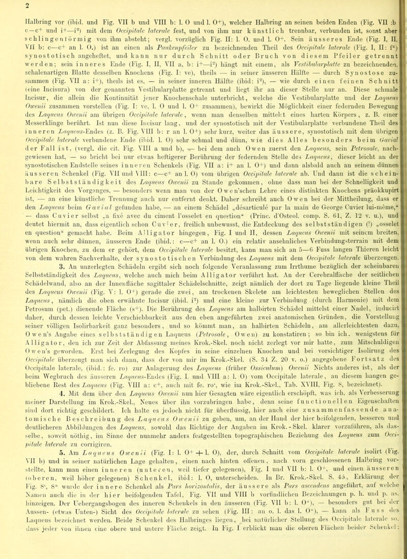 Ilaibring vor (ibirl. und Fig. VII b und VIII b: 1. 0 und 1. 0+), welcher Halbring an seinen beiden Enden (Fig. VII :b ' c —c+ und i+—i) mit dem Ocdpitale laterale fest, und von ihm nur künstlich trennbar, verbunden ist, sonst aber schlingentörmig von ihm absteht; vergl. vorzüglich Fig. II; 1. 0. und 1. 0+. Sein äusseres Ende (Fig. I, II, J VII b: c—c+ an 1. 0.) ist au einen als Paulcenpfeiler zu bezeichnenden Theil des Oeeipitale laterale (Fig. I, II; f“j r synostotisch angeheftet, und kann nur durch Schnitt oder Bruch von diesem Pfeiler getrennt f werden; sein inneres Ende (Fig. I, II, VII a, b; i+—i) hängt mit einem, als Vestibulärjilatte zu bezeichnenden, r schalenartigen Blatte desselben Knochens (Fig. I; ve), theils — in seiner äusseren Hälfte ■— durch Synostose zu- i sammen (Fig. VII a; i+), theils ist es, — in seiner inneren Hälfte (ibid; i-), — wie durch einen feinen Schnitt * (eine lucisura) von der genannten Vestibularplatte getrennt und liegt ihr an dieser Stelle nur an. Diese schmale ,, Incisur, die allein die Kontinuität jener Knochenschale unterbricht, welche die Vestibularplatte und der Laqueus i Oivenii zusammen vorstellen (Fig. I; ve, 1. 0 und 1. 0+ zusammen), bewirkt die Möglichkeit einer federnden Bew^egung i des Laqueus Owenii am übrigen Oeeipitale laterale, wenn man denselben mittelst eines harten Körpers , z. B. einer i; Messerklinge berührt. Ist nun diese Incisur lang, und der synostotisch mit der Vestibularplatte verbundene Theil des I inneren Xn^u^^'s-Endes (z. B. Fig. VIII b; r an 1. 0+) sehr kurz, iveiter das äussere, synostotisch mit dem übrigen | Oeeipitale laterale verbundene Ende (ibid. 1. 0) sehr schmal und dünn, wie dies Alles besonders beim Gavial% der Fall ist, (vergl. die cit. Fig. VHI a und b), — bei dem auch Owen zuerst den Laqueus, sein Petrosale, nach-l gewiesen hat, — so bricht bei nur etwas heftigerer Berührung der federnden Stelle dei Laqueus, dieser leicht an der ! synostotischen Endstelle seines inneren Schenkels (Fig. VII a; i+ an 1. 0+) und dann alsbald auch an seinem dünnen ; äusseren Schenkel (Fig. VII und MH; c—c+ an 1. 0) vom übrigen Oeeiqntale laterale ab. Und dann ist die schein- 1 bare Selbstständigkeit des Laqueus Owenii zu Stande gekommen, ohne dass man bei der Schnelligkeit und Leichtigkeit des Vorganges, — besonders Avemi man von der Owen’schen Lehre eines distinkten Knochens präokkupirt a ist, —• an eine künstliche Trennung auch nur entfernt denkt. Daher schreibt auch Owen bei der Mittheilung, dass er den Ljaqueus beim Gavial gefunden habe, •—- an einem Schädel „desarticule par la niain de George Cuvier lui-meme,“ , — dass Cuvier selbst „a fixe avec du ciment l’osselet en question“ (Princ. d’Osteol. comp. S. 61, Z. 12 v. u.), und deutet hiermit an, dass eigentlich schon Cuvier, freilich unbewusst, die Entdeckung des selbstständigen (!) „osselet en question“ gemacht habe. Beim Alligator hingegen, Fig. I und II, dessen Laqueus Owenii mit seinem breiten, wenn auch sehr dünnen, äusseren Ende (ibid.; c—c+ an 1. 0.) ein relativ ansehnliches Verbindungsterrain mit dem übrigen Knochen, zu dem er gehört, dem Oeeipitale laterale besitzt, kann man sich an 5—6 Fuss langen Thieren leicht von dem Vv'ahren Sachverhalte, der synostotischen Verbindung des mit dem Oeeipitale laterale überzeugen. 3. An unzerlegten Schädeln ergibt sich noch folgende Veranlassung zum Irrthume bezüglich der scheinbaren Selbstständigkeit des Laequeus, welche auch mich beim Alligator verführt hat. An der Cerehralfläche der seitlichen Schädel wand, also an der Innenfläche sagittaler Schädelschnitte, zeigt nämlich der dort zu Tage liegende kleine Theil des Laqueus Owenii (Fig. V; 1. 0+) gerade die zwei, am trockenen Skelete am leichtesten beweglichen Stellen des lÄUpueus, nämlich die oben erwähnte Incisur (ibid. i-) und eine kleine zur Verbindung (durch Harmonie) mit dem Petrosum (pet.) dienende Fläche (s+). Die Berührung des Laqueus am halbirten Schädel mittelst einer Nadel, inducirt daher, durch dessen leichte Verschiebbarkeit aus den eben angeführten zwei anatomischen Gründen, die Vorstellung seiner völligen Isolirbarkeit ganz besonders , und so kömmt man, an halbirten Schädeln, am allerleichtesten dazu, 0 w e n’s Angabe eines selbstständigen Laqueus {Petrosale, Owen) zu konstatiren ; so bin ich. wenigstens für Alligator, den ich zur Zeit der Abfassung meines Krok.-Skel. noch nicht zerlegt vor mir hatte, zum Mitschuldigen 0 w e n’s geworden. Erst bei Zerlegung des Kopfes in seine einzelnen Knochen und bei vorsichtiger Isolirung des Oceiqiitale überzeugt man sich dann, dass der von mir im Krok.-Skel. (S. 31 Z. 20 v. o.) angegebene Fortsatz des Occi})itale laterale, (ibid.; fe. ro) zur Anlagerung des Laqueus (früher Ossieulum) Oicenii Nichts anderes ist, als der beim Wegbruch des äusseren Zayj'ucn.s-Eiides (Fig. I. und VHI a; 1. 0) vom Oeeipitale laterale, an diesem hangen ge- bliebene Piest Ljaqueus (Fig. VIII a; c+, auch mit fe. ro‘, wie im Krok.-Skel., Tab. XVHI, Fig. 8, bezeichnet). 4. Mit dem über den Laqueus Owenii nun hier Gesagten wäre eigentlich erschöpft, was ich, als Verbesserung meiner Darstellung im Krok.-Skel., Neues über ihn vorzubringen habe, denn seine fuuetion eilen Eigeuschalten sind dort richtig geschildert. Ich halte es jedoch nicht für überflüssig, hier auch eine z u s a mm e n fas s e n d e ana- tomische Beschreibung des Laqueus Owenii zu geben, um, an der Hand der hier beitolgenden, besseren und deutlicheren Abbildungen des Laqueus, sowohl das Pdehtige der Angaben im Krok.-Skel. klarer vorzuführen, als das- selbe , soweit nöthig, im Sinne der nunmehr anders festgestellten topographischen Beziehung des Laqueus zum Oeei- pitale laterale zu corrigiren. o. Am Laqueus Oivenii (Fig. I: 1. 0++ 1. 0), der, durch Schnitt vom Oeciqntale laterale isolii’t (Fig. MI b) und in seiner natürlichen Lage gehalten, einen nach hinten offenen, nach vorn geschlossenen Halbring vor- stellte, kann man einen inneren (unteren, weil tiefer gelegenen), Fig. I und VII b: 1. 0+, und einen äusseren (oberen, weil höher gelegenen) Schenkel, ibid; 1. 0, unterscheiden. In Br. Krok.-Skel. S. 4ö, Erklärung der Fig. 8‘, 8“ wurde der innere Schenkel als Pars horizontahs, der äussere als Pars ascenäens angeführt, auf welche Namen auch die in der hier beifolgenden Tafel, Fig. VII und VHI b vorfindlichen Bezeichnungen j). h. und p. as. binzeigen. Der Uebergangsbogen des inneren Schenkels in den äusseren (Fig. Vll b; 1. 0“), — besonders gnt bei der Aussen- (etwas Unten-) Sicht des Oeeipitale laterale zu sehen (Kig. III; an o. 1. das 1. 0“), — kann als I uss des La(jueus bezeichnet werden. Beide Schenkel des Ilalbringes liegen, bei natürlicber Stellnng des Oeeipitale laterale so, dass jeder von ihnen eine obere und untere Fläclie zeigt. In Fig. I erblickt mau die oberen flächen beiden- Schenkel;