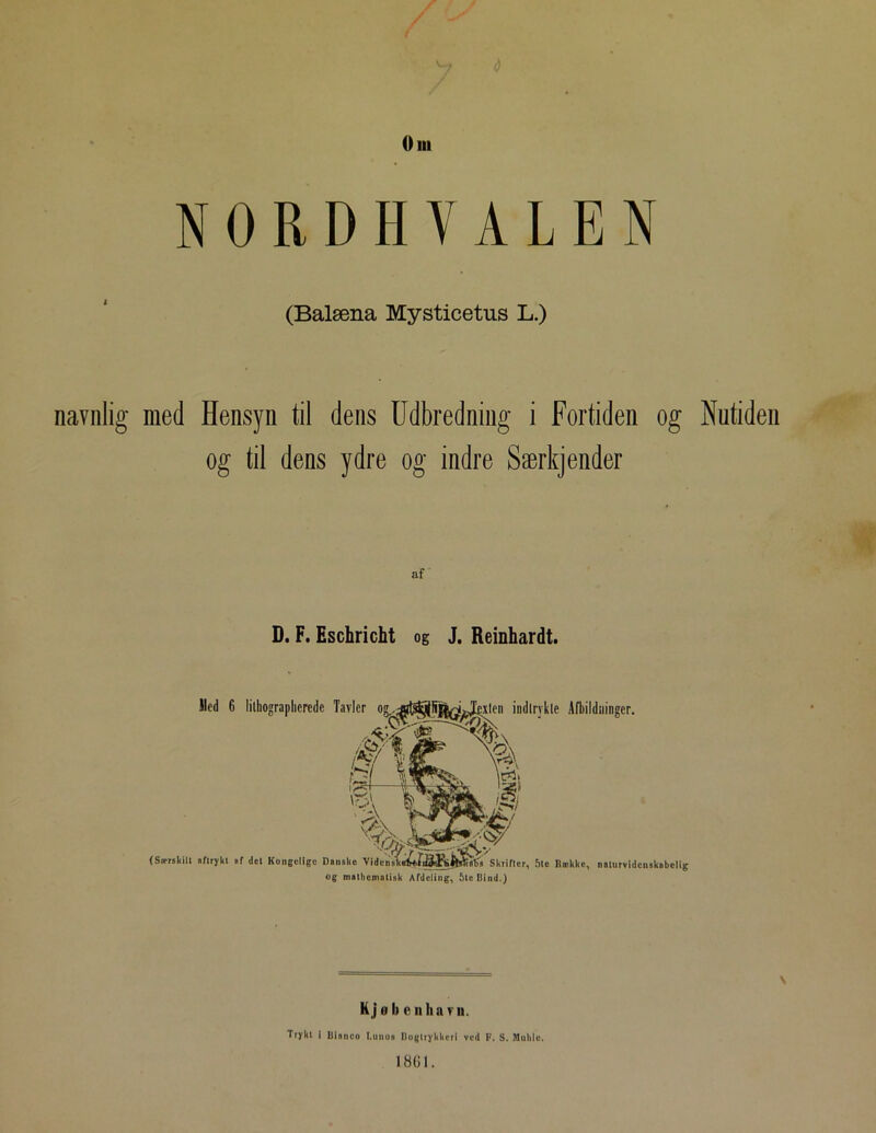 >) / Om NORDHVALEN (Balæna Mysticetus L.) navnlig med Hensyn til dens Udbredning i Fortiden og Nutiden og til dens ydre og indre Særkjender af D. F. Eschricht og J, Reinhardt. lied 6 lilhograplieredc Tavler og,. ixien indirvkle Afbildninger. % m (Særskilt »(trykt »f det Kongelige Danske VidensVatéiii^^aljs Skrider, 5te Række, naturvidenskabelig og mathematisk Afdeling, 5te Bind.) \ K j o II e II h a V n. Trykl i Binneo hunos Boglryhkcri ved F. S. Mulilc. I8G1.