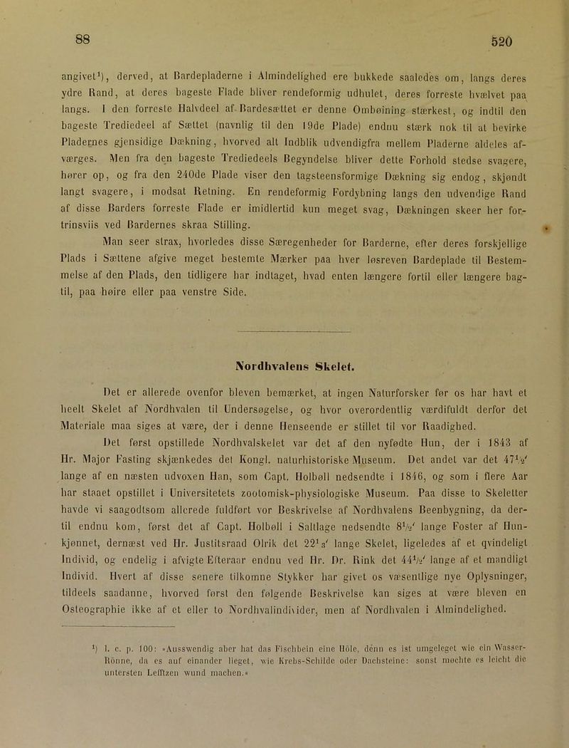 angivet'), derved, at Bardepladerne i Almindelighed ere bukkede saalcdes om, langs deres ydre Rand, at deres bageste Flade bliver rendeformig udhulet, deres forreste hvælvet paa langs. 1 den forreste Halvdeel af. Bardesættet er denne Ombøining stærkest, og indtil den bageste Trediedeel af Sættet (navnlig til den 19de Plade) endnu stærk nok til at bevirke Pladernes gjensidige Dækning, hvorved alt Indblik udvendigfra mellem Pladerne aldeles af- værges. Men fra den bageste Trediedeels Begyndelse bliver dette Forhold stedse svagere, hører op, og fra den 240de Plade viser den tagsteensformige Dækning sig endog, skjøndt langt svagere, i modsat llelning. En rendeformig Fordybning langs den udvendige Rand af disse Barders forreste Flade er imidlertid kun meget svag. Dækningen skeer her for- trinsviis ved Bardernes skraa Stilling. Man seer strax, hvorledes disse Særegenheder for Barderne, efter deres forskjellige Plads i Sættene afgive meget bestemte Mærker paa hver løsreven Bardeplade til Bestem- melse af den Plads, den tidligere har indtaget, hvad enten længere fortil eller længere bag- til, paa høire eller paa venstre Side. ^'ordhvalells Skelet. Det er allerede ovenfor bleven bemærket, at ingen Naturforsker før os har havt et heelt Skelet af Nordhvalen til Undersøgelse, og hvor overordentlig værdifuldt derfor det Materiale maa siges at være, der i denne Henseende er stillet til vor Raadighed. Det først opstillede Nordhvalskelet var det af den nyfødte Hun, der i 1843 af Hr. Major Fasling skjænkedes det Kongl. naturhistoriske Museum. Det andet var det 47'o' lange af en næsten udvoxen Han, som Capt. Holbøll nedsendte i 1846, og som i flere Åar har staaet opstillet i Universitetets zoolomisk-physiologiske Museum. Paa disse lo Skeletter havde vi saagodlsom allerede fuldført vor Beskrivelse af Nordhvalens Beenbygning, da der- til endnu kom, først det af Capt. Holbøll i Saltlage nedsendte 8V<'' lange Foster af Hun- kjønnet, dernæst ved Hr. Justitsraad Olrik del 22'.i' lange Skelet, ligeledes af et qvindeligl Individ, og endelig i afvigte El'teraar endnu ved Hr. Dr. Rink det 44'/^' lange af et mandligt Individ. Hvert af disse senere tilkomne Stykker har givet os væsentlige nye Oplysninger, tildeels saadanne, hvorved først den følgende Beskrivelse kan siges at være bleven en Osteographie ikke af et eller lo Nordhvalindi\ider, men af Nordhvalen i Almindelighed. ‘) I. c. p. 100: »Ausswenrlig aber liat das Fisdibcin eine hole, dénn es isl umgelegel wie ein Wasser- Itoiine, da es auf cinander lieget, uie Krebs-Sebilde oder Dachsteinc: sonst rnoclile es leielit die unlersteii Leirtzen wund niaclien.«
