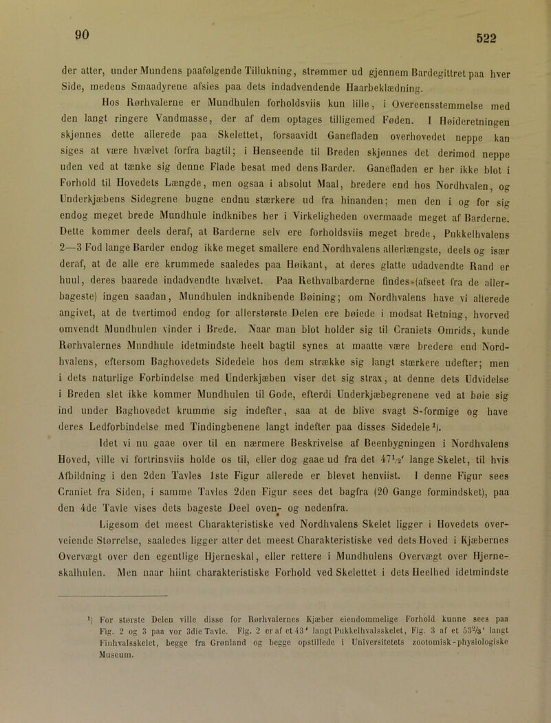 90 der atter, under Mundens paafølgende Tillukning, strømmer ud gjennem Bardegittret paa hver Side, medens Smaadyrene afsies paa dets indadvendende Haarbeklædning. Hos Rørhvalerne er Mundhulen forholdsviis kun lille, i Overeensstemmelse med den langt ringere Vandmasse, der af dem optages tilligemed Føden. I Høideretningen skjønnes dette allerede paa Skelettet, forsaavidt Ganefladen overhovedet neppe kan siges at være hvælvet forfra bagtil; i Henseende til Breden skjønnes det derimod neppe uden ved at tænke sig denne Flade besat med dens Barder. Ganefladen er her ikke blot i Forhold til Hovedets Længde, men ogsaa i absolut Maal, bredere end hos Nordhvalen, og Underkjæbens Sidegrene bugne endnu stærkere ud fra hinanden; men den i og for sig endog meget brede Mundhule indknibes her i Virkeligheden overmaade meget af Barderne. Dette kommer deels deraf, at Barderne selv ere forholdsviis meget brede, Pukkelhvalens 2—3 Fod lange Barder endog ikke meget smallere end Nordhvalens allerlængste, deels og især deraf, at de alle ere krummede saaledes paa Høikant, at deres glatte udadvendte Rand er huul, deres haarede indadvendte hvælvet. Paa Rethvalbarderne findes«(afseet fra de aller- bageste) ingen saadan. Mundhulen indknibende Bøining; om Nordhvalens have vi allerede angivet, at de tvertimod endog for allerstørete Delen ere bøiede i modsat Retning, hvorved omvendt Mundhulen vinder i Brede. Naar man blot holder sig til Craniets Omrids, kunde Rørhvalernes Mundhule idetmindste heelt bagtil synes at maatte være bredere end Nord- hvalens, eftersom Baghovedets Sidedele hos dem strække sig langt stærkere udefter; men i dets naturlige Forbindelse med Underkjæben viser det sig strax, at denne dets Udvidelse i Breden slet ikke kommer Mundhulen til Gode, efterdi Underkjæbegrenene ved at bøie sig ind under Baghovedet krumme sig indefter, saa at de blive svagt S-formige og have deres Ledforbindelse med Tindingbenene langt indefter paa disses Sidedele ^). Idet vi nu gaae over til en nærmere Beskrivelse af Beenbygningen i Nordhvalens Hoved, ville vi fortrinsviis holde os til, eller dog gaae ud fra det 47V lange Skelet, til hvis Afbildning i den 2den Tavles 1ste Figur allerede er blevet henviist. I denne Figur sees Craniet fra Siden, i samme Tavles 2den Figur sees det bagfra (20 Gange formindsket), paa den 4de Tavle vises dets bageste Deel oven- og nedenfra. idgesom det meest Charakteristiske ved Nordhvalens Skelet ligger i Hovedets over- veiende Størrelse, saaledes ligger atter det meest Charakteristiske ved dets Hoved i Kjæbernes Overvægt over den egentlige Hjerneskal, eller rettere i Mundhulens Overvægt over Hjerne- skalhiilen. Men naar hiint charakteristiske Forhold ved Skelettet i dets Ileelhed idetmindste *) Kor største Delen ville disse for Rørhvalernes Kjæher eiendommelige Forhold kunne secs paa Kig. 2 og 3 paa vor 3die Tavle. Fig. 2 er af et 43' langt Pnkkelhvalsskelet, Fig. 3 af et 6373* langt Finhvalsskelet, begge fra Grønland og begge opstillede i Universitetets zootomisk-physiologiske Museum.