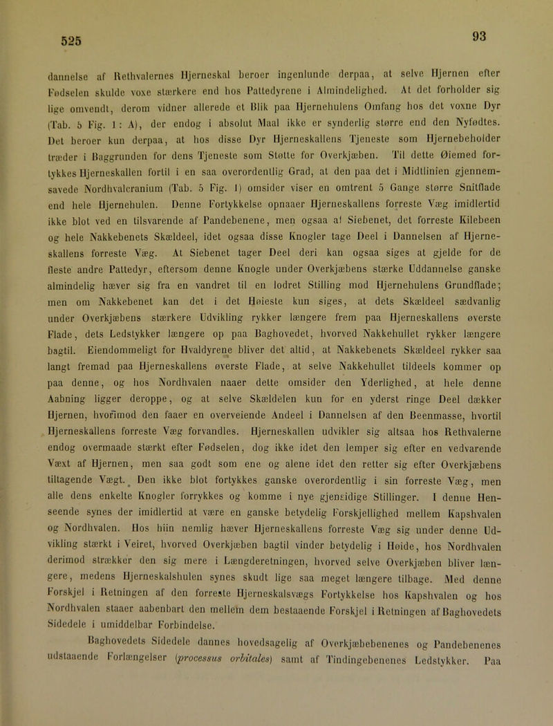93 dannelse af llelhvalernes Hjerneskal beroer ingenlunde derpaa, at selve Hjernen efter Fødselen skulde voxe stærkere end bos Pattedyrene i Almindelighed. At det forholder sig lige omvendt, derom vidner allerede et Blik paa Hjernehulens Omfang bos det voxne Dyr (Tab. 5 Fig. 1 : A), der endog i absolut Maal ikke er synderlig større end den Nyfødtes. Det beroer kun derpaa, at hos disse Dyr Hjerneskallens Tjeneste som Hjernebeholder træder i Baggrunden for dens Tjeneste som Støtte for Overkjæben. Til dette Øiemed for- tykkes Hjerneskallen fortil i en saa overordentlig Grad, al den paa det i Midtlinien gjennem- savede Nordhvalcranium (Tab. 5 Fig. 1) omsider viser en omtrent 5 Gange større Snitflade end hele Hjernehulen. Denne Fortykkelse opnaaer Hjerneskallens forreste Væg imidlertid ikke blot ved en tilsvarende af Pandebenene, men ogsaa al Siebenet, det forreste Kilebeen og hele Nakkebenets Skældeel, idet ogsaa disse Knogler tage Deel i Dannelsen af Hjerne- skallens forreste Væg. Al Siebenet tager Deel deri kan ogsaa siges at gjelde for de fleste andre Pattedyr, eftersom denne Knogle under Overkjæbens stærke Uddannelse ganske almindelig hæver sig fra en vandret til en lodret Stilling mod Hjernehulens Grundflade; men om Nakkebenet kan det i det fløieste kun siges, at dets Skældeel sædvanlig under Overkjæbens stærkere Udvikling rykker længere frem paa Hjerneskallens øversle Flade, dets Ledstykker længere op paa Baghovedet, hvorved Nakkehullet rykker længere bagtil. Eiendommeligt for Hvaldyrene bliver det altid, at Nakkebenets Skældeel rykker saa langt fremad paa Hjerneskallens øverste Flade, , at selve Nakkehullet tildeels kommer op paa denne, og hos Nordhvalen naaer delte omsider den Yderlighed, at hele denne Aabning ligger deroppe, og at selve Skældelen kun for en yderst ringe Deel dækker Hjernen, hvorimod den faaer en overveiende Andeel i Dannelsen af den Beenmasse, hvortil Hjerneskallens forreste Væg forvandles. Hjerneskallen udvikler sig altsaa hos Rethvalerne endog overmaade stæ-rkt efter Fødselen, dog ikke idet den lemper sig efter en vedvarende Væxt af Hjernen, men saa godt som ene og alene idet den retter sig efter Overkjæbens tiltagende Vægt.^ Den ikke blot fortykkes ganske overordentlig i sin forreste Væg, men alle dens enkelte Knogler forrykkes og komme i nye gjeneidige Stillinger. I denne Hen- seende synes der imidlertid at være en ganske betydelig Forskjellighed mellem Kapshvalen og Nordhvalen. Hos hiin nemlig hæver Hjerneskallens forreste Væg sig under denne Ud- vikling stærkt i Veiret, hvorved Overkjæben bagtil vinder betydelig i Høide, hos Nordhvalen derimod strækker den sig mere i Længderetningen, hvorved selve Overkjæben bliver læn- gere, medens Hjerneskalshulen synes skudt lige saa meget længere tilbage. Med denne Porskjel i Retningen af den forreste Hjerneskalsvægs Portykkelse hos Kapshvalen og hos Nordhvalen staaer aabenbarl den melletn dern beslaaende Forskjel i Retningen af Baghovedets Sidedele i umiddelbar Forbindelse. Baghovedets Sidedele dannes hovedsagelig af Overkjæbebenenes og Pandebenenes udstaaende Forlængelser (processus orbitales) samt af Tindingebenenes Ledslykker. Paa