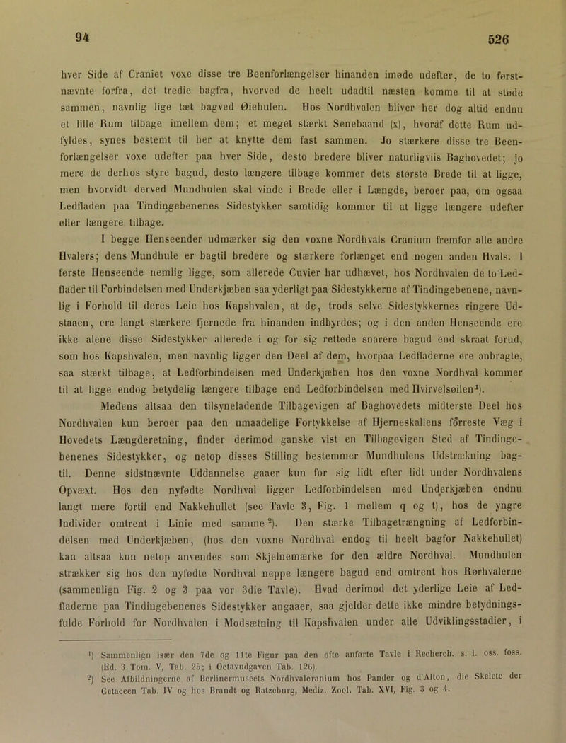 hver Side af Craniet voxe disse tre Beenforlængelser hinanden imøde udefter, de to først- nævnte forfra, det tredie bagfra, hvorved de heelt udadtil næsten komme til at støde sammen, navnlig lige tæt bagved Øiehulen. Hos Nordhvalen bliver her dog altid endnu et lille Rum tilbage imellem dem; et meget stærkt Senebaand (x), hvoraf dette Rum ud- fyldes, synes bestemt til her at knytte dem fast sammen. Jo stærkere disse tre Been- forlængelser voxe udefter paa hver Side, desto bredere bliver nalurligviis Baghovedet; jo mere de derhos styre bagud, desto længere tilbage kommer dets største Brede til at ligge, men hvorvidt derved Mundhulen skal vinde i Brede eller i Længde, beroer paa, om ogsaa Ledfladen paa Tindingebenenes Sidestykker samtidig kommer lit at ligge længere udefter eller længere tilbage. I begge Henseender udmærker sig den voxne Nordhvals Cranium fremfor alle andre Hvalers; dens Mundhule er bagtil bredere og stærkere forlænget end nogen anden Hvals. 1 første Henseende nemlig ligge, som allerede Cuvier har udhævet, hos Nordhvalen de to Led- flader til Forbindelsen med Underkjæben saa yderligt paa Sidestykkerne af Tindingebenene, navn- lig i Forhold til deres Leie hos Kapshvalen, at de, trods selve Sidestykkernes ringere Ld- staaen, ere langt stærkere fjernede fra hinanden indbyrdes; og i den anden Henseende ere ikke alene disse Sidestykker allerede i og for sig rettede snarere bagud end skraat forud, som hos Kapshvalen, men navnlig ligger den Deel af dem, hvorpaa Ledfladerne ere anbragte, saa stærkt tilbage, at Ledforbindelsen med Underkjæben hos den voxne Nordhval kommer til at ligge endog betydelig længere tilbage end Ledforbindelsen med Hvirvelsøilen^). Medens altsaa den tilsyneladende Tilbagevigen af Baghovedets midterste Deel hos Nordhvalen kun beroer paa den umaadelige Fortykkelse af Hjerneskallens forreste Væg i Hovedets Længderetning, finder derimod ganske vist en Tilbagevigen Sled af Tindinge- benenes Sidestykker, og netop disses Stilling bestemmer Mundhulens Udstrækning bag- til. Denne sidstnævnte Uddannelse gaaer kun for sig lidt efter lidt under Nordhvalens Opvæxt. Hos den nyfødte Nordhval ligger Ledforbindelsen med Underkjæben endnu langt mere fortil end Nakkehullet (see Tavle 3, Fig. 1 mellem q og t), hos de yngre Individer omtrent i Linie med samme ■). Den stærke Tilbagetrængning af Ledforbin- delseu med Underkjæben, (hos den voxne Nordhval endog til heelt bagfor Nakkehullet) kan altsaa kun netop anvendes som Skjelnemærke for den ældre Nordhval. Mundhulen strækker sig hos den nyfødte Nordhval neppe længere bagud end omtrent hos Rørhvalerne (sammenlign Fig. 2 og 3 paa vor 3die Tavle). Hvad derimod det yderlige Leie af Led- lladerne paa Tindingebenenes Sidestykker angaaer, saa gjelder dette ikke mindre betydnings- fulde Forhold for Nordhvalen i Modsætning til Kapshvalen under alle Udviklingsstadier, i ') Sammenlign især den 7de og Ilte Figur paa den ofte anførte Tavle i Ueclierch. s. 1. oss. foss. (Ed. 3 Tom. V, Tab. 25; i Octavudgaven Tab. 12G). -) See Afbildningerne af Berlinermuseets Nordhvalcranium hos Pander og d’Alton, die Skelete der Cetaceen Tab. IV og hos Brandt og llatzeburg, Mediz. Zool. Tab. XVI, Fig. 3 og 4.